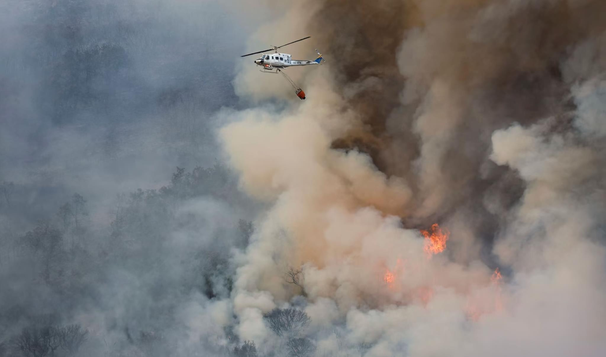 Nhiệt độ thiêu đốt bao trùm thế giới: Đã quá muộn cứu Trái Đất? - 6