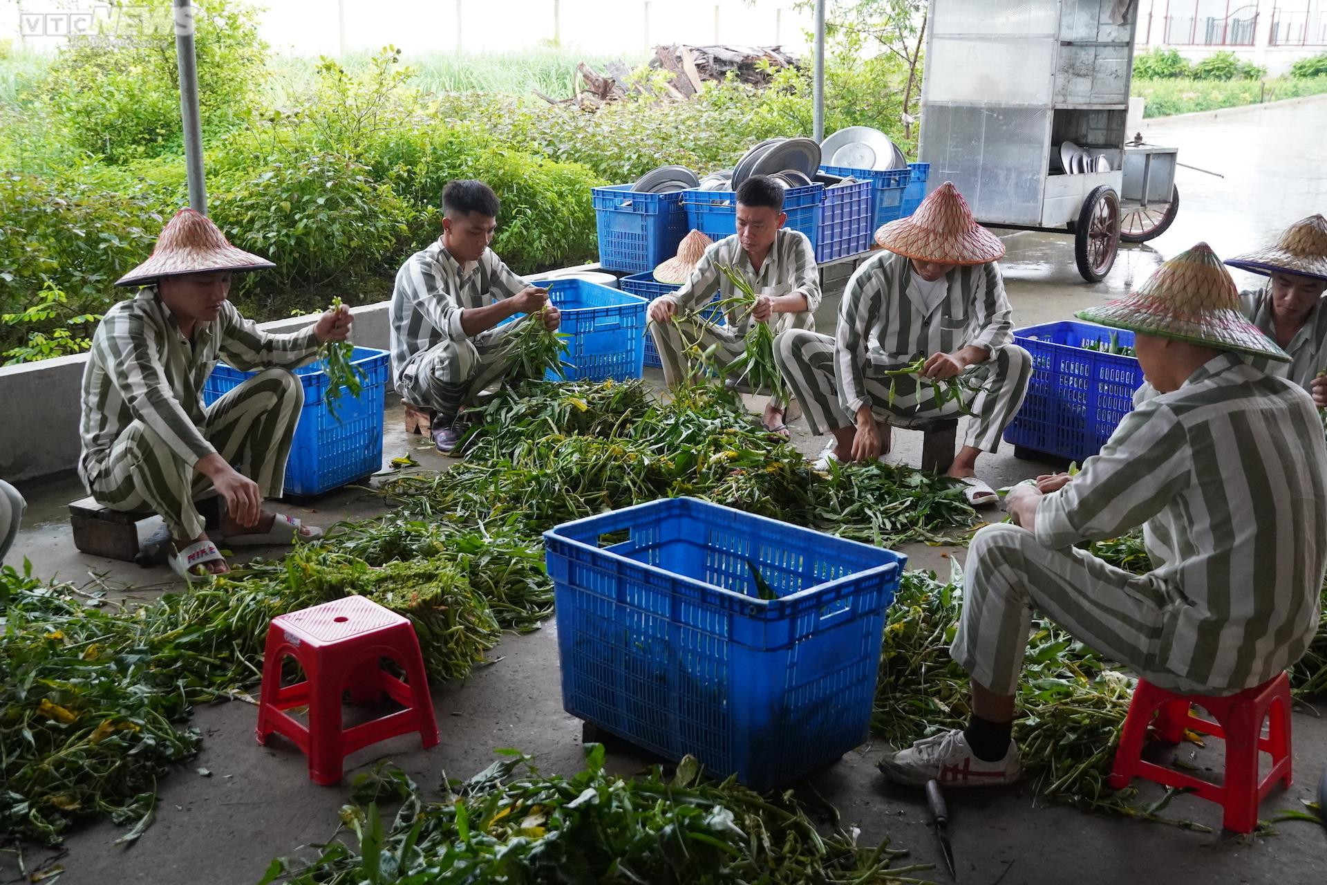 Ảnh: Bên trong xưởng sản xuất tóc giả, xuất đi nước ngoài của phạm nhân - 11