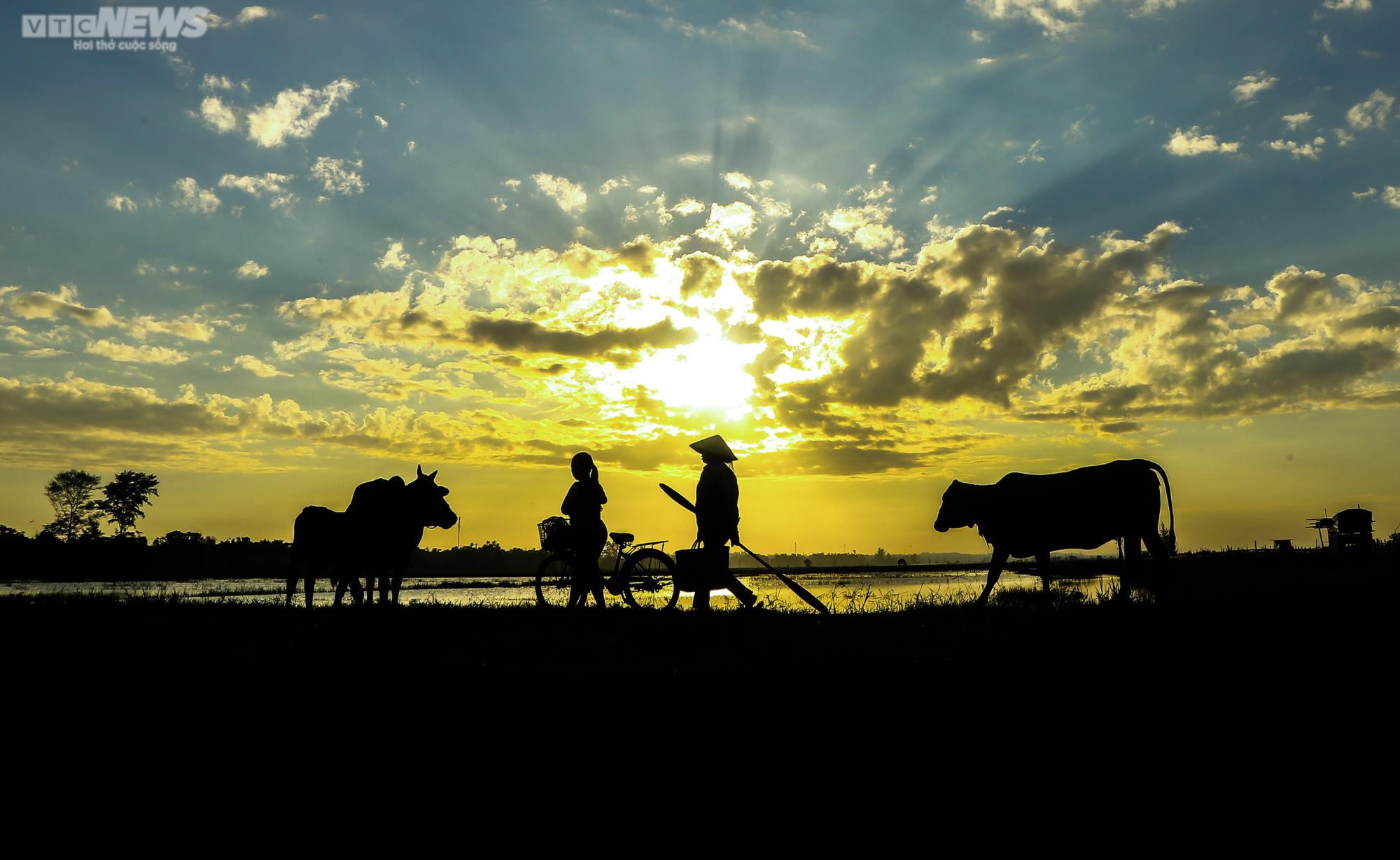 Ảnh: Chiêm ngưỡng bình minh rực rỡ trên phá Tam Giang - 1