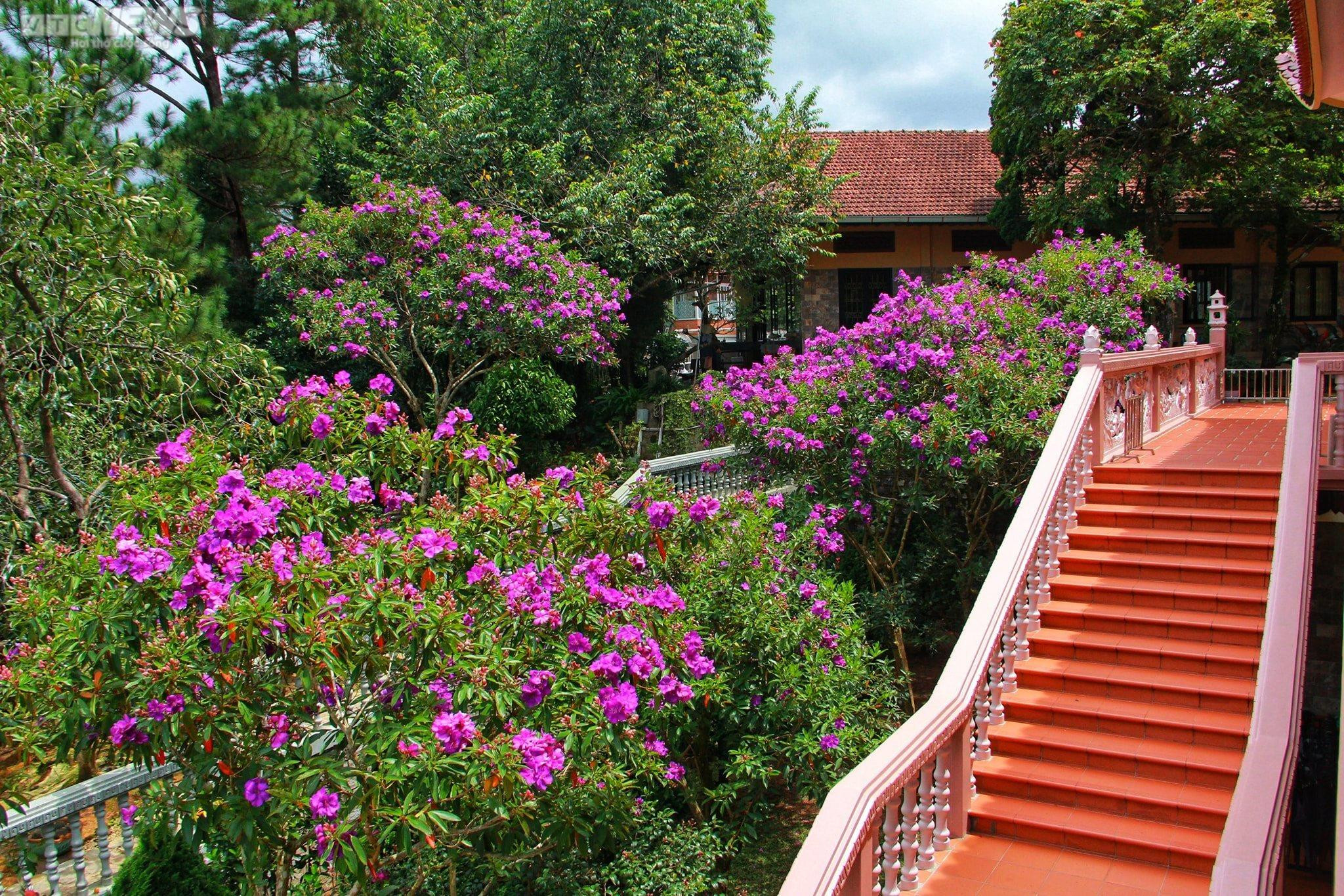 Ảnh: Chiêm ngưỡng Thiền viện Trúc Lâm Đà Lạt, ngôi chùa đẹp tựa tiên cảnh - 13