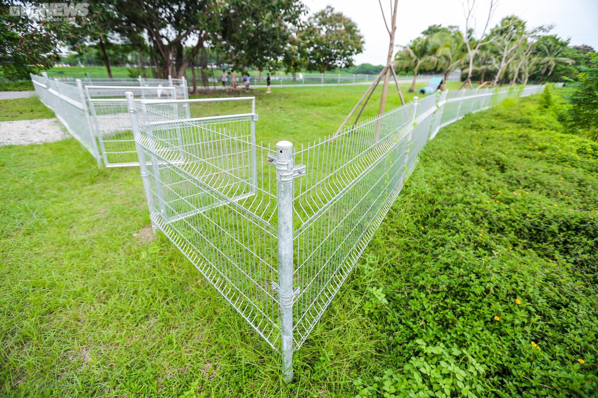 Công viên dành cho chó đầu tiên tại Hà Nội, mỗi ngày đón hơn 100 lượt thú cưng - 4
