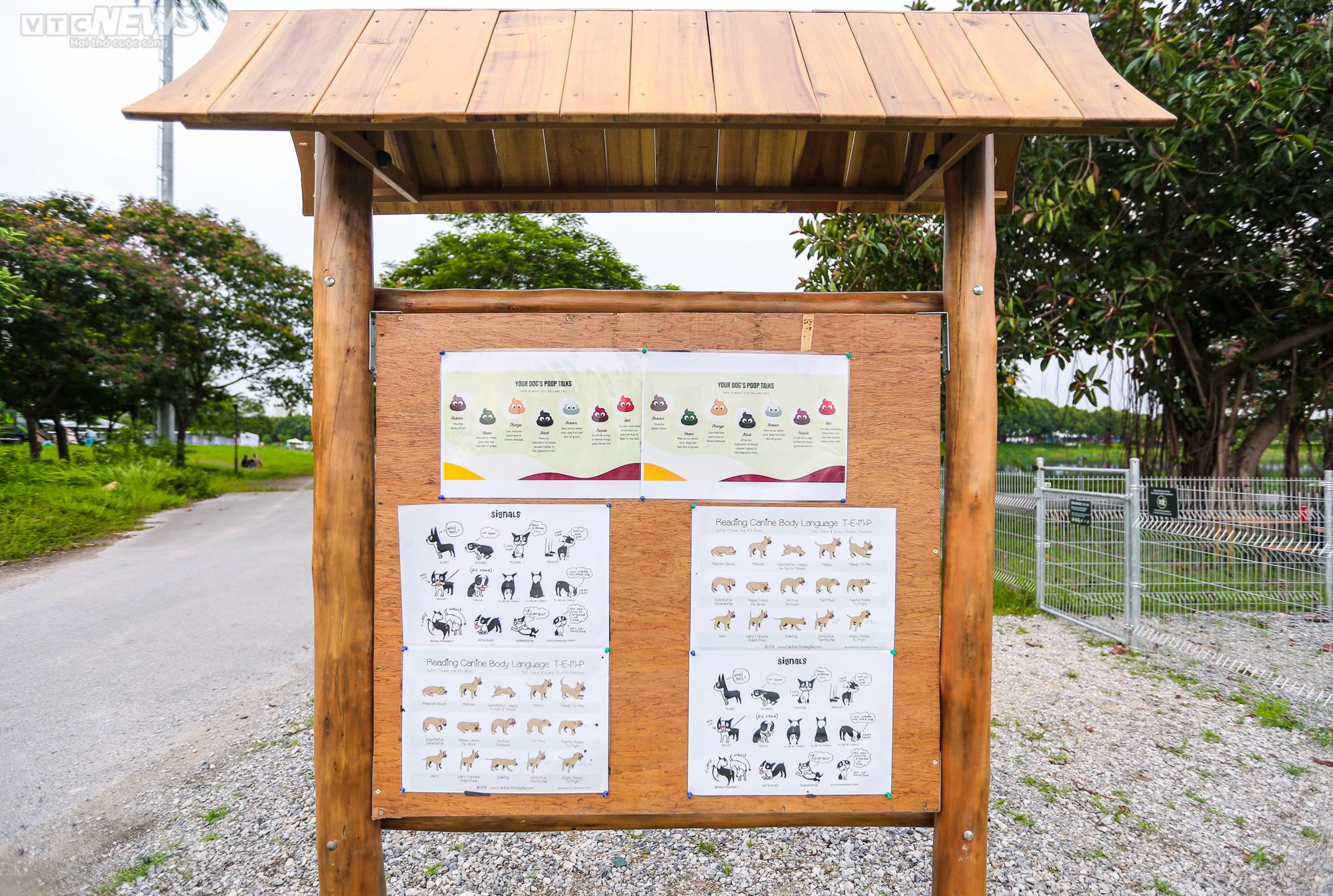 Công viên dành cho chó đầu tiên tại Hà Nội, mỗi ngày đón hơn 100 lượt thú cưng - 2