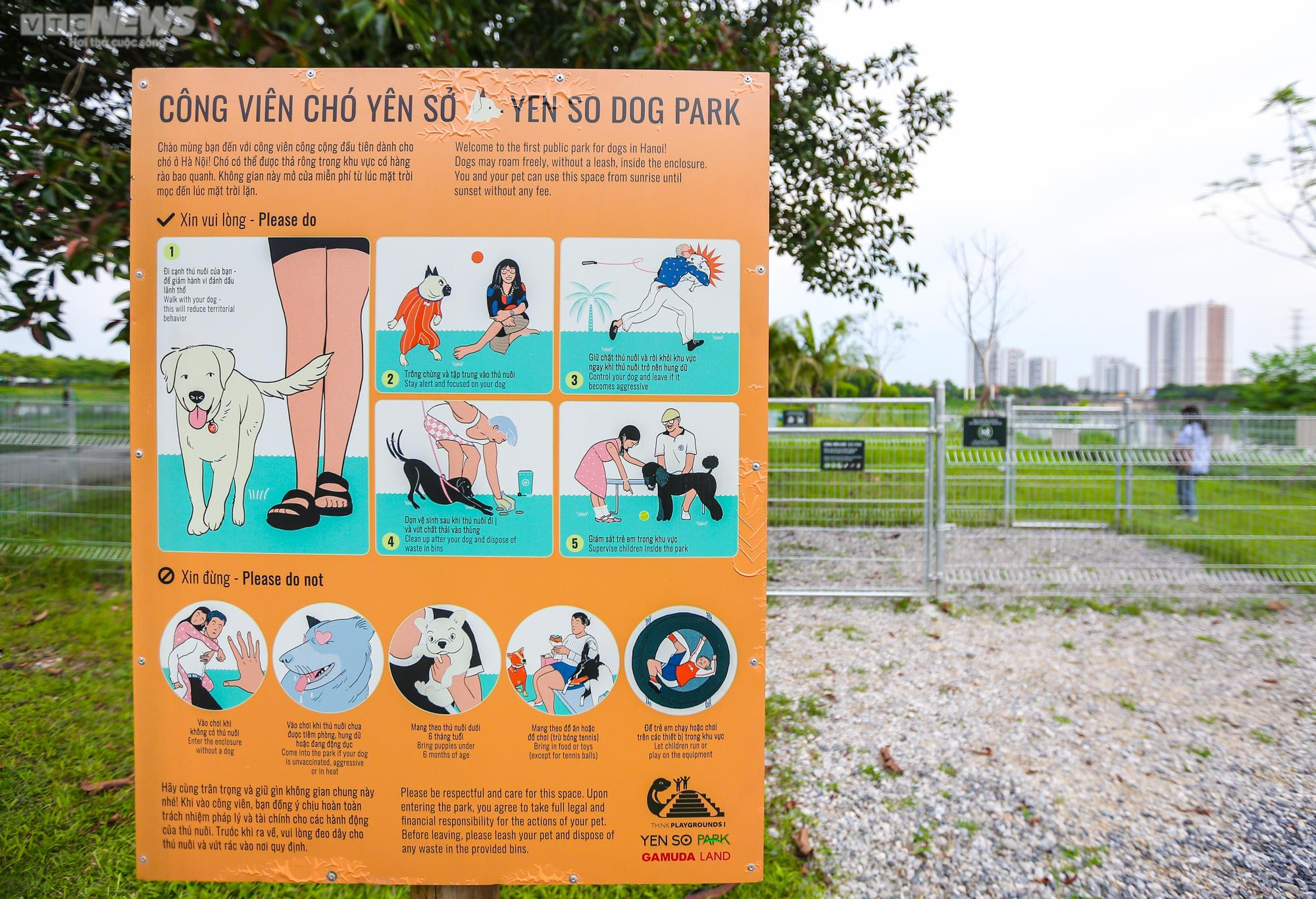 Công viên dành cho chó đầu tiên tại Hà Nội, mỗi ngày đón hơn 100 lượt thú cưng - 3
