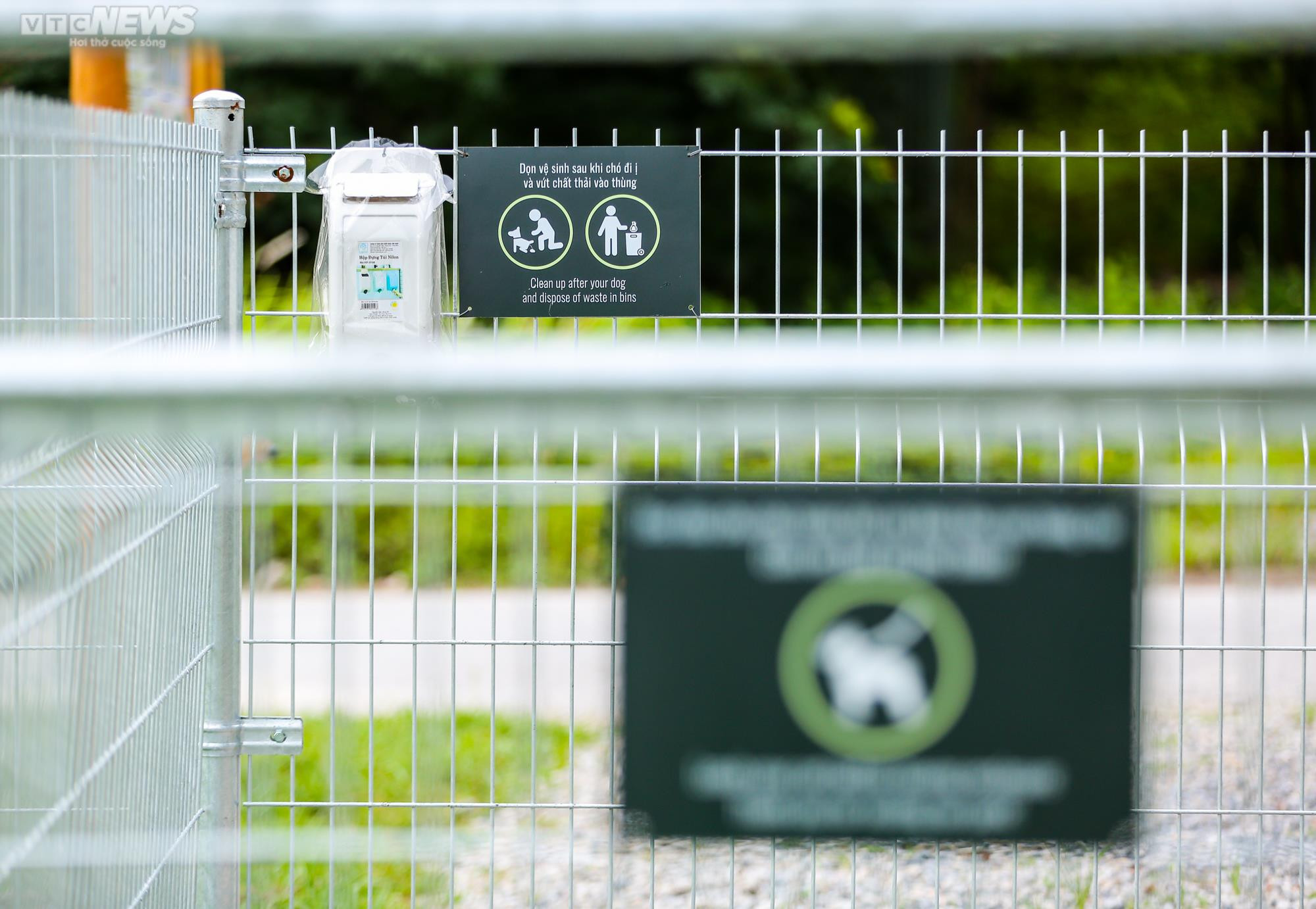 Công viên dành cho chó đầu tiên tại Hà Nội, mỗi ngày đón hơn 100 lượt thú cưng - 6