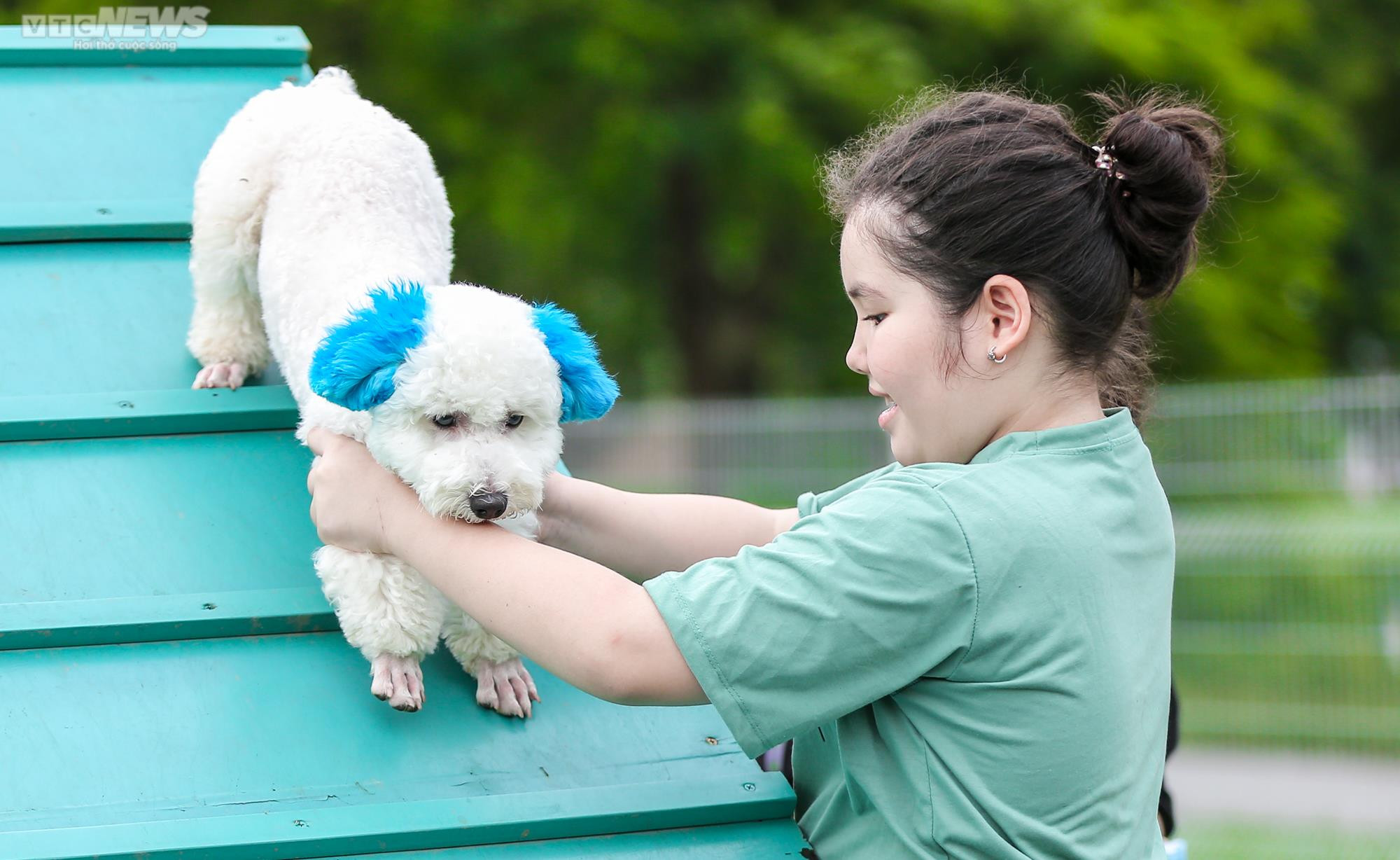 Công viên dành cho chó đầu tiên tại Hà Nội, mỗi ngày đón hơn 100 lượt thú cưng - 9