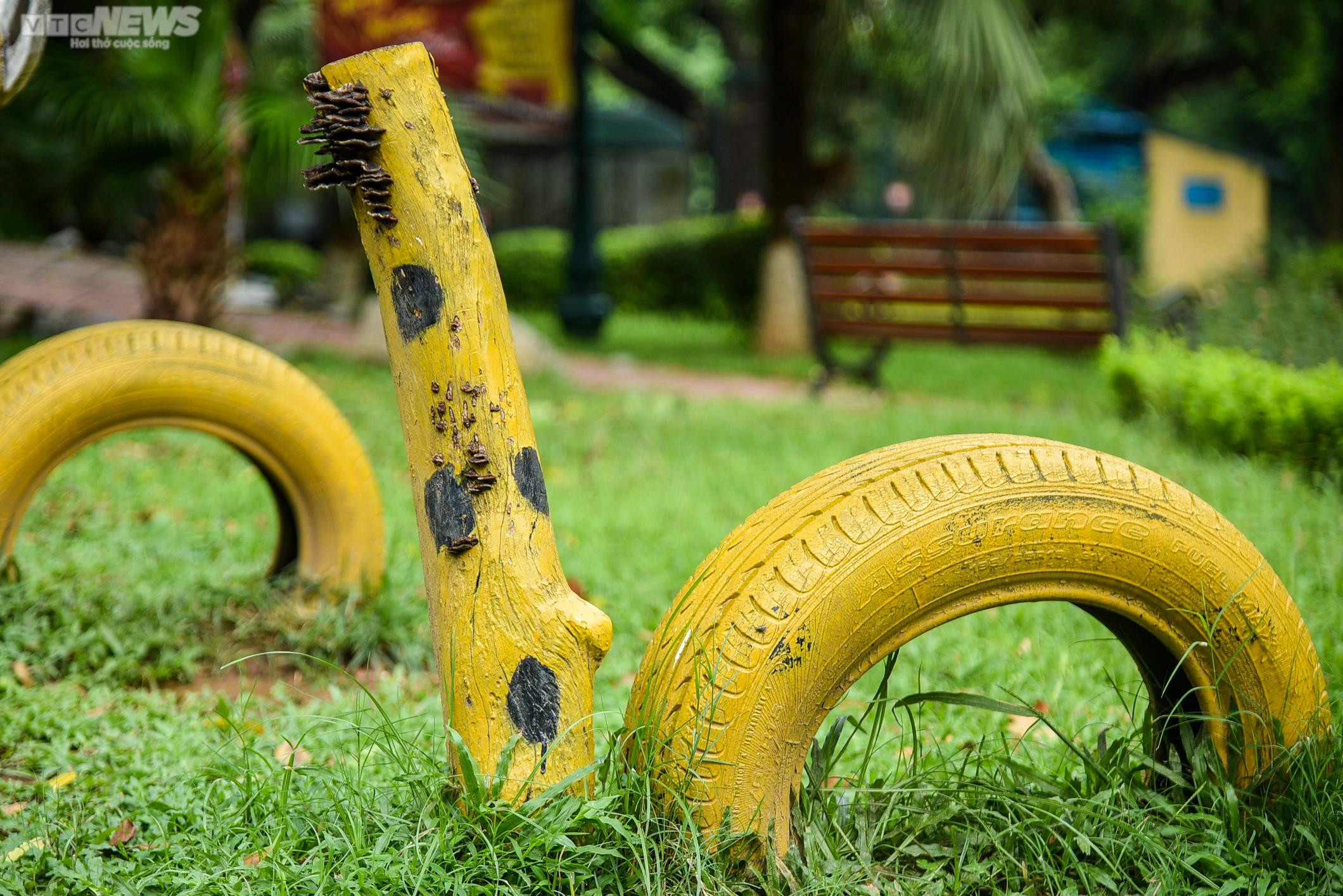 Ảnh: Bên trong 3 công viên lớn ở Hà Nội sắp được cải tạo, nâng cấp - 13