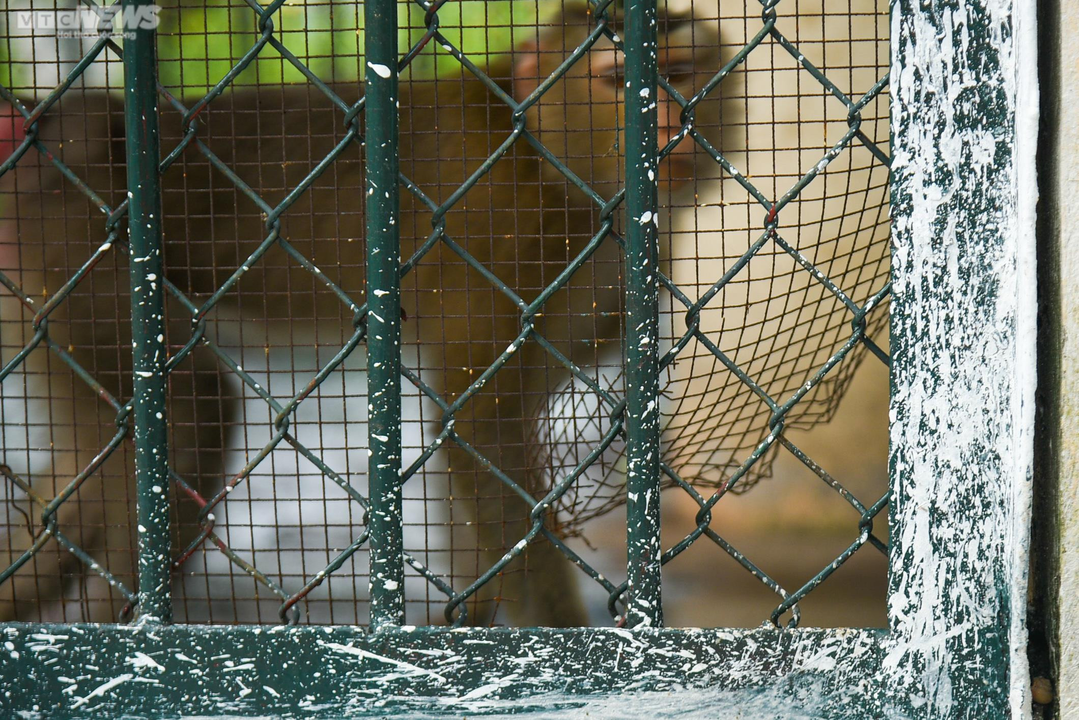 Ảnh: Bên trong 3 công viên lớn ở Hà Nội sắp được cải tạo, nâng cấp - 10