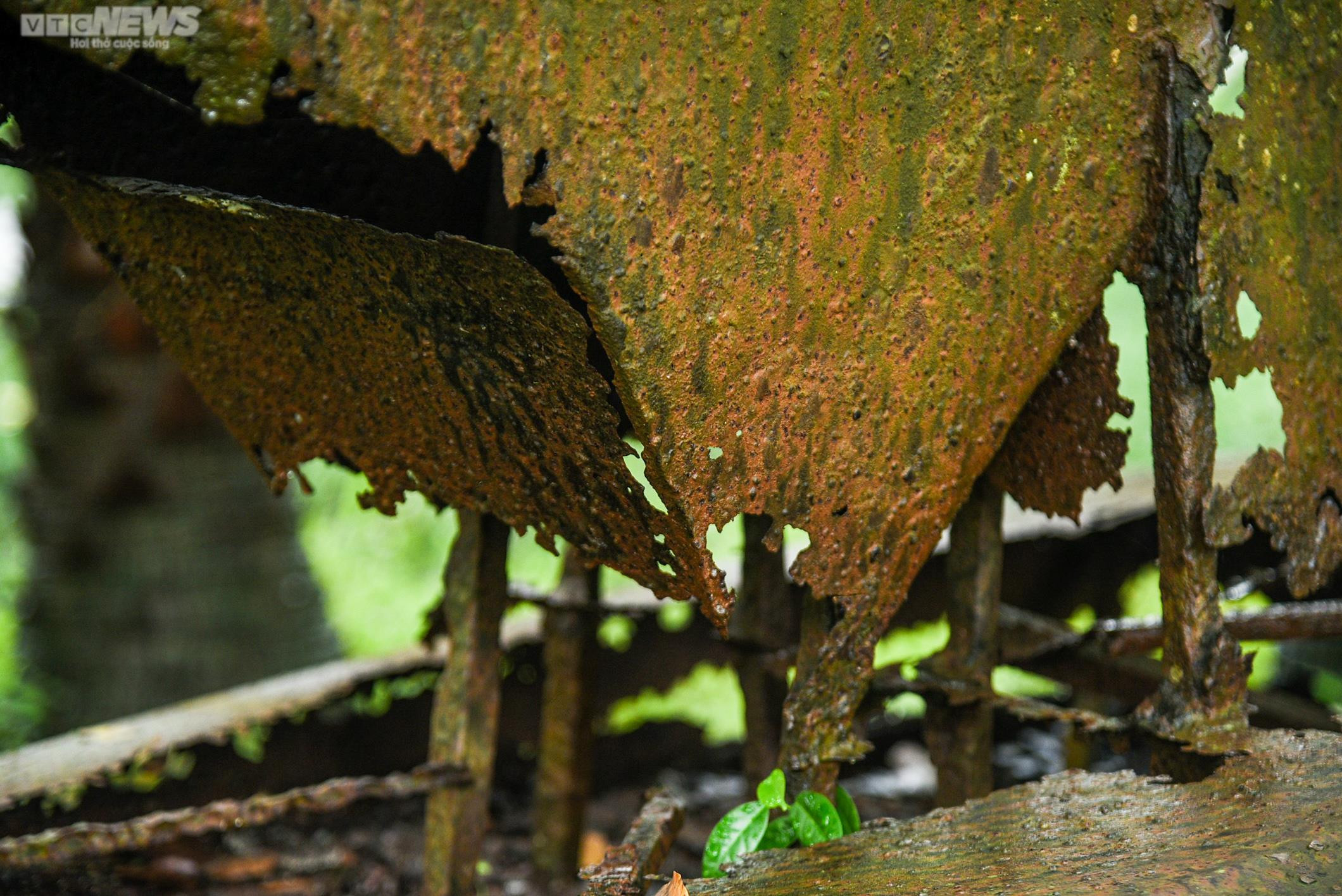 Ảnh: Bên trong 3 công viên lớn ở Hà Nội sắp được cải tạo, nâng cấp - 16