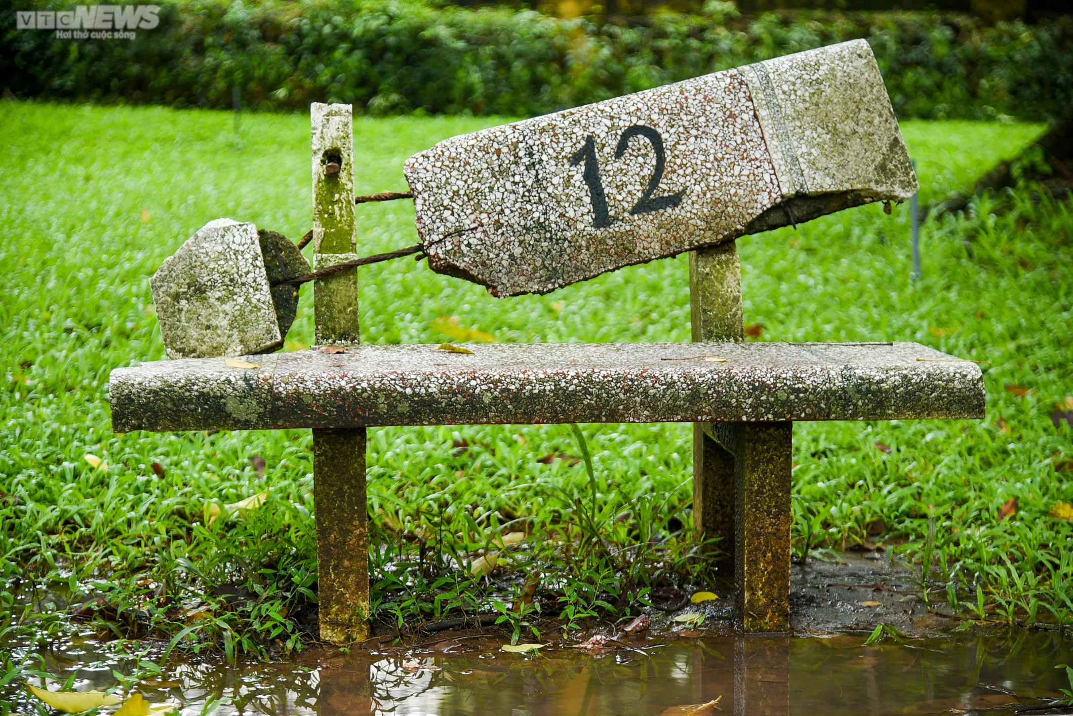 Ảnh: Bên trong 3 công viên lớn ở Hà Nội sắp được cải tạo, nâng cấp - 12