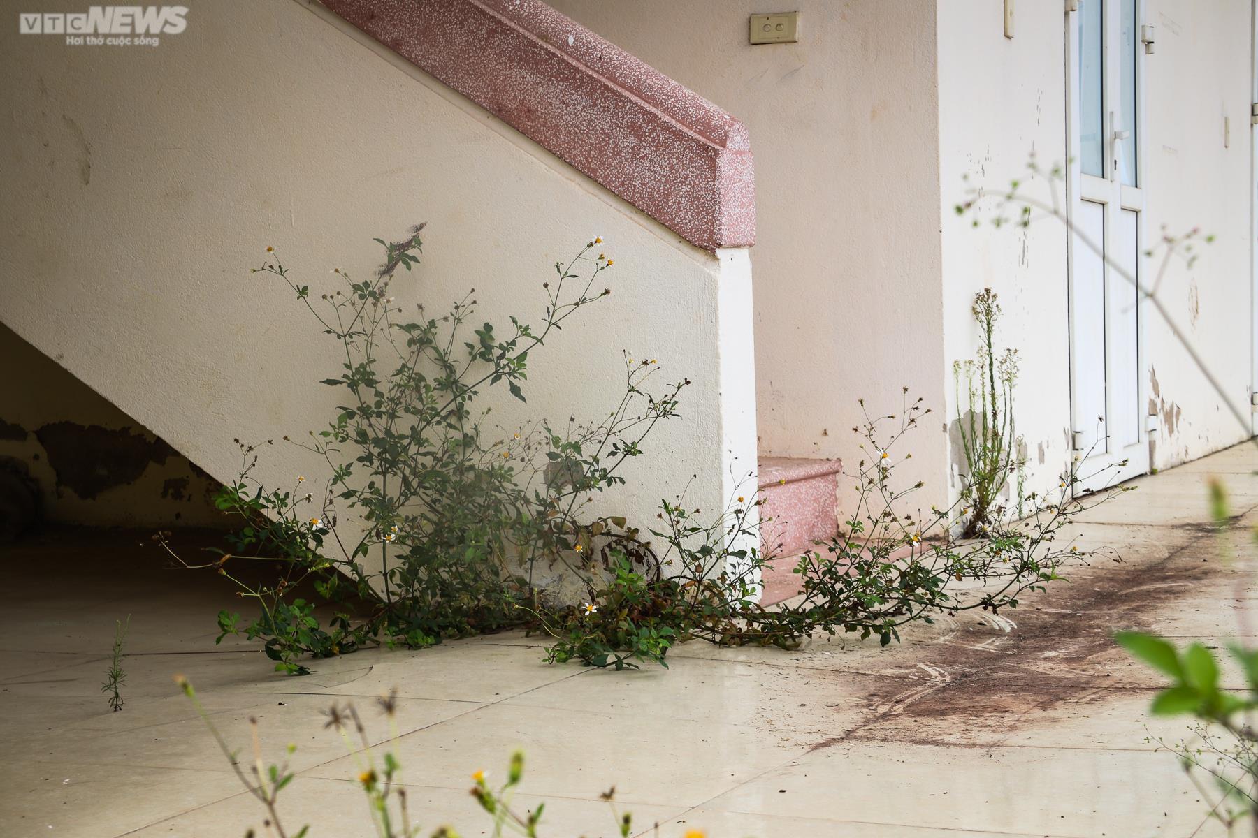 Ảnh: Tàu thuyền nằm ‘trơ đáy’ bên cảng cá hơn 43 tỷ đồng bỏ hoang - 13