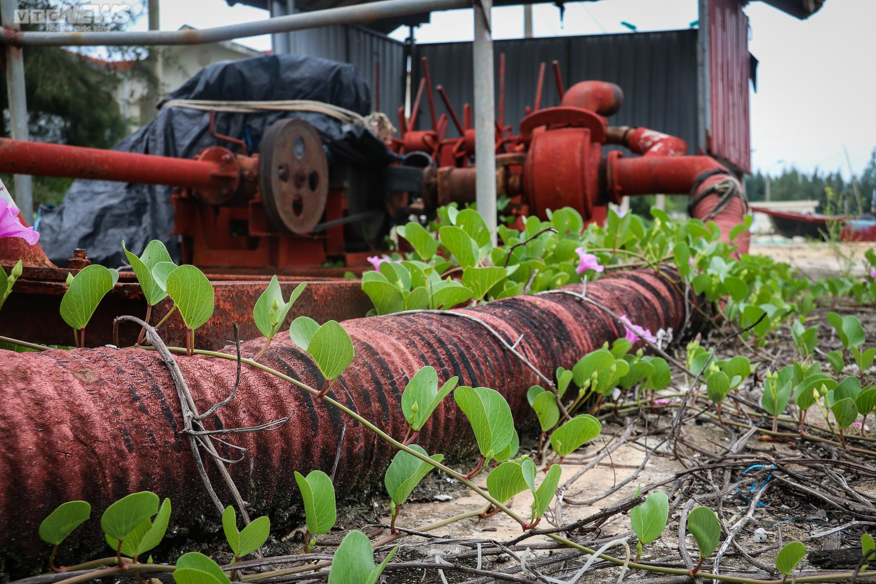Ảnh: Tàu thuyền nằm ‘trơ đáy’ bên cảng cá hơn 43 tỷ đồng bỏ hoang - 11