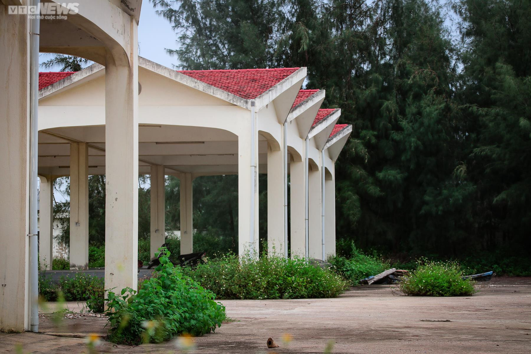 Ảnh: Tàu thuyền nằm ‘trơ đáy’ bên cảng cá hơn 43 tỷ đồng bỏ hoang - 12