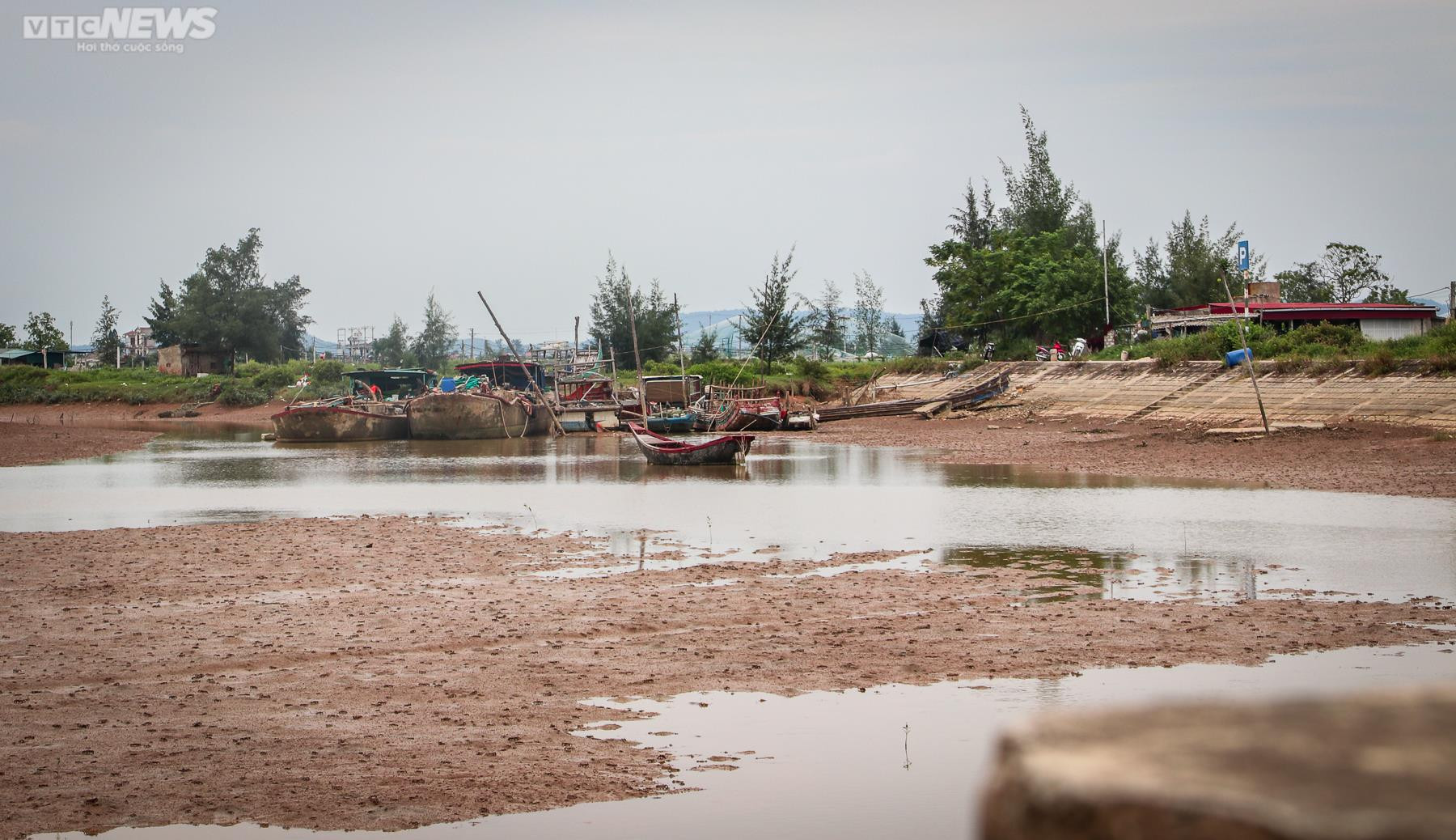 Ảnh: Tàu thuyền nằm ‘trơ đáy’ bên cảng cá hơn 43 tỷ đồng bỏ hoang - 8