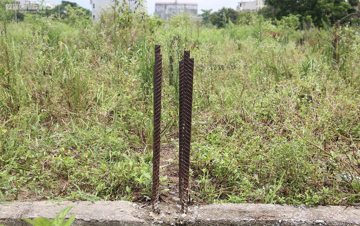 Ảnh: Hệ lụy từ những đại dự án nhà ở quận Dương Kinh, Hải Phòng - 16