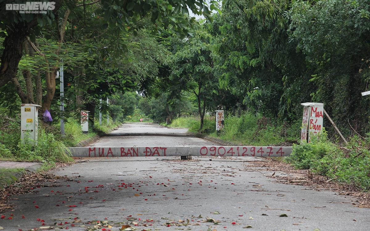 Ảnh: Hệ lụy từ những đại dự án nhà ở quận Dương Kinh, Hải Phòng - 24