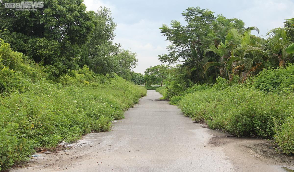 Ảnh: Hệ lụy từ những đại dự án nhà ở quận Dương Kinh, Hải Phòng - 28