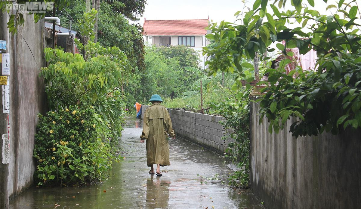 Ảnh: Hệ lụy từ những đại dự án nhà ở quận Dương Kinh, Hải Phòng - 13
