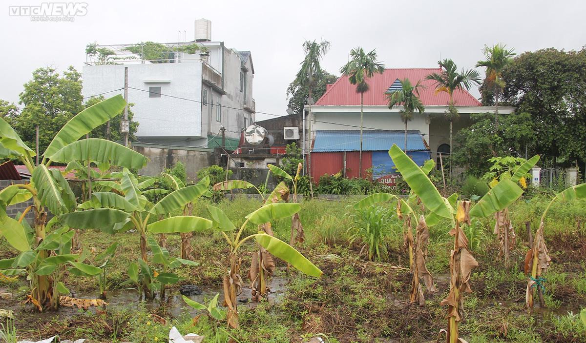 Ảnh: Hệ lụy từ những đại dự án nhà ở quận Dương Kinh, Hải Phòng - 14