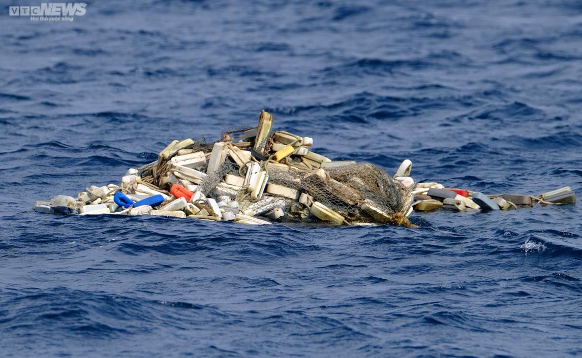 Làm thế nào giữ cá voi lại với vùng biển Bình Định? - 11