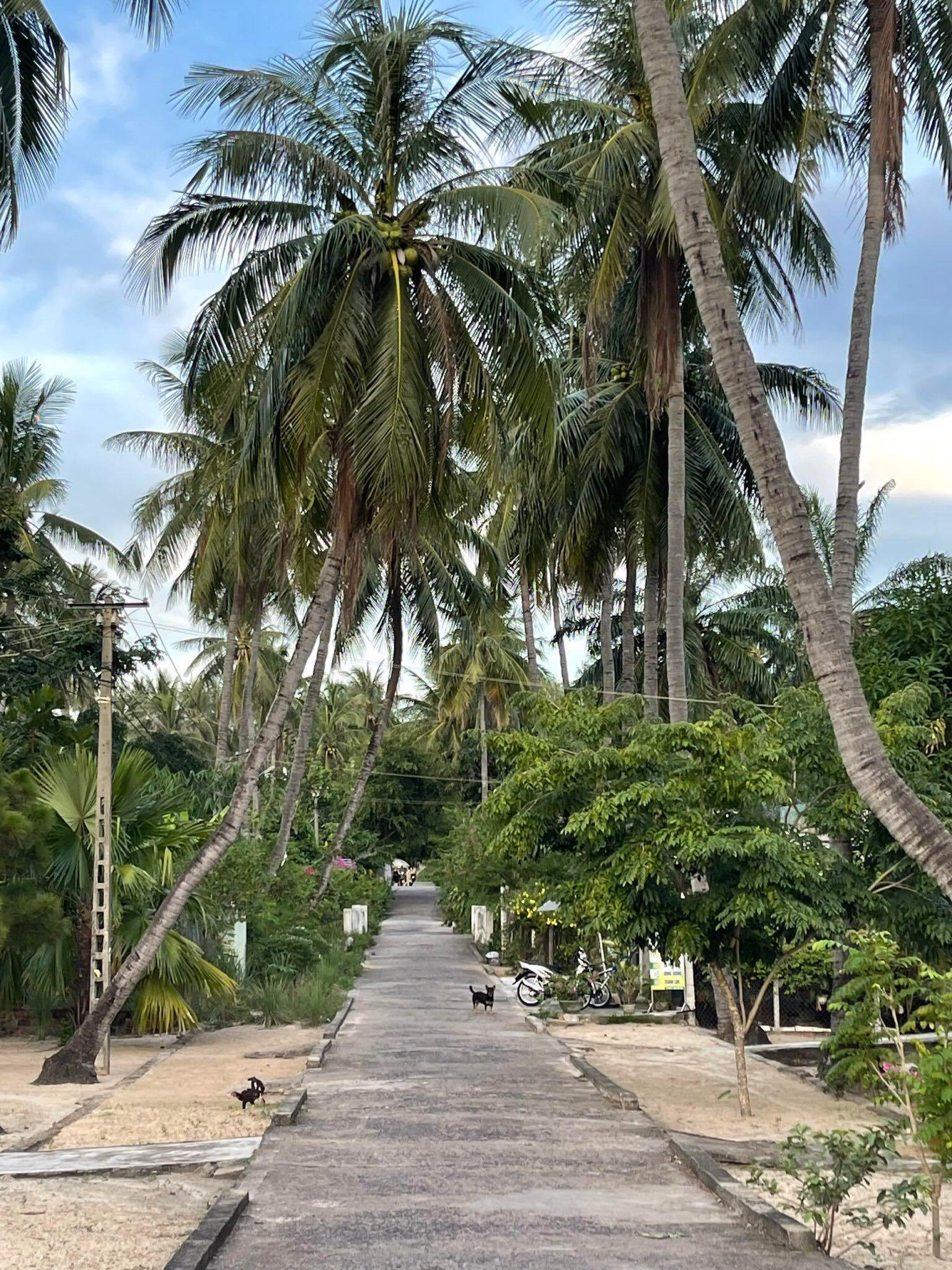 Chuyện chưa kể về nữ y tá dành cả đời chăm sóc bệnh nhân mắc căn bệnh quái ác - 6