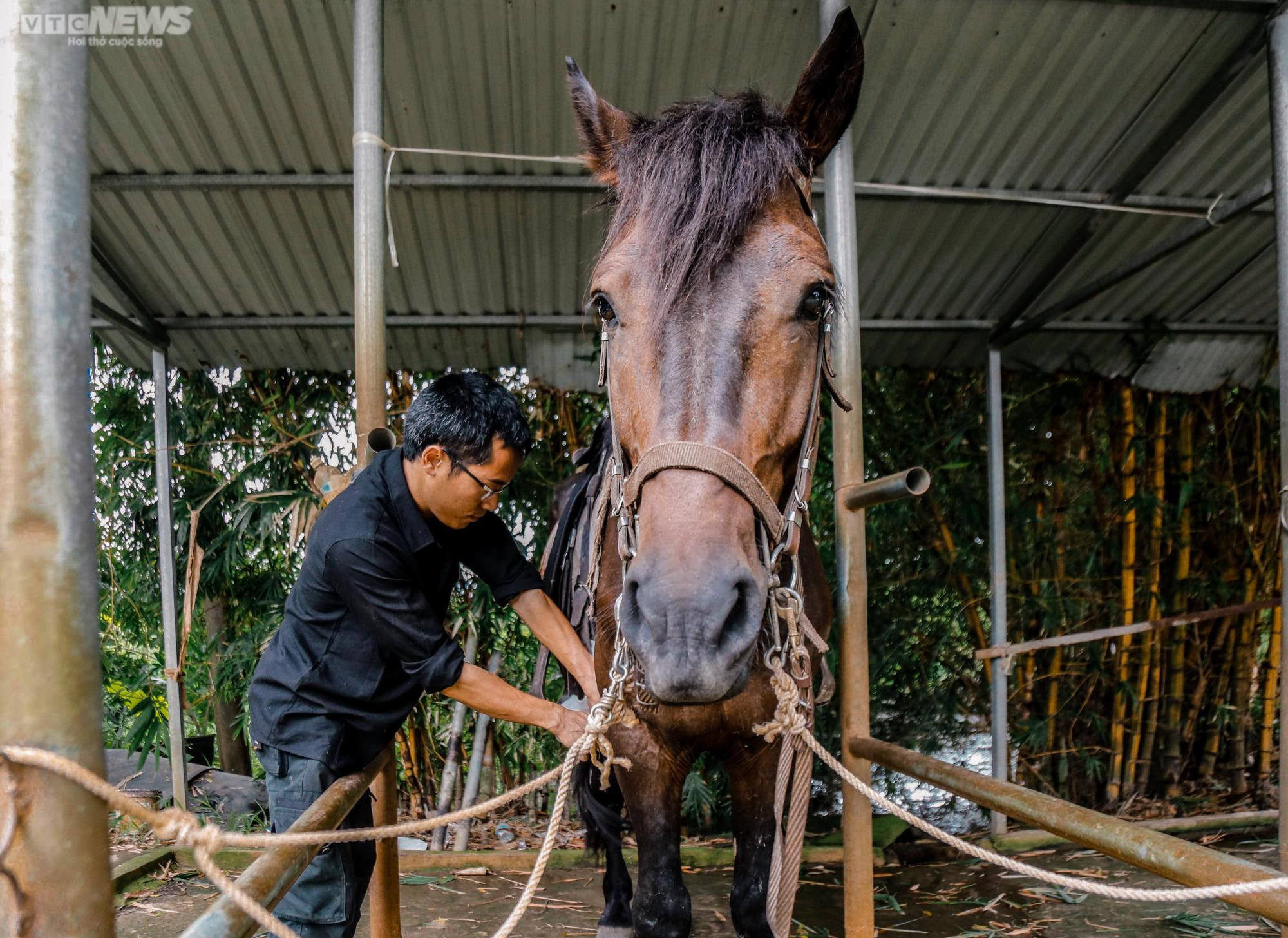 Ảnh: Cưỡi ngựa bắn cung mang phong cách Mông Cổ giữa lòng Hà Nội - 14