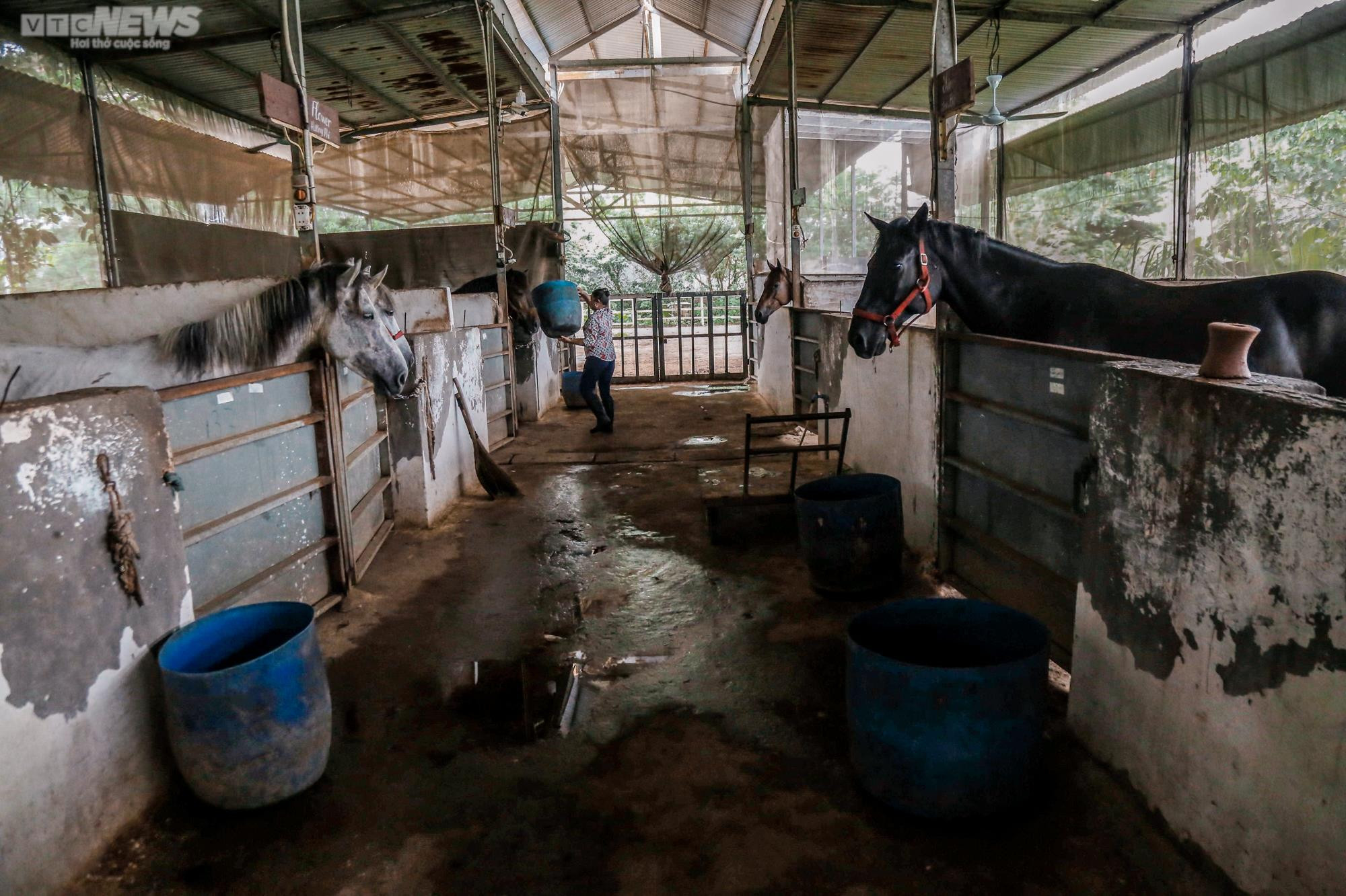 Ảnh: Cưỡi ngựa bắn cung mang phong cách Mông Cổ giữa lòng Hà Nội - 15