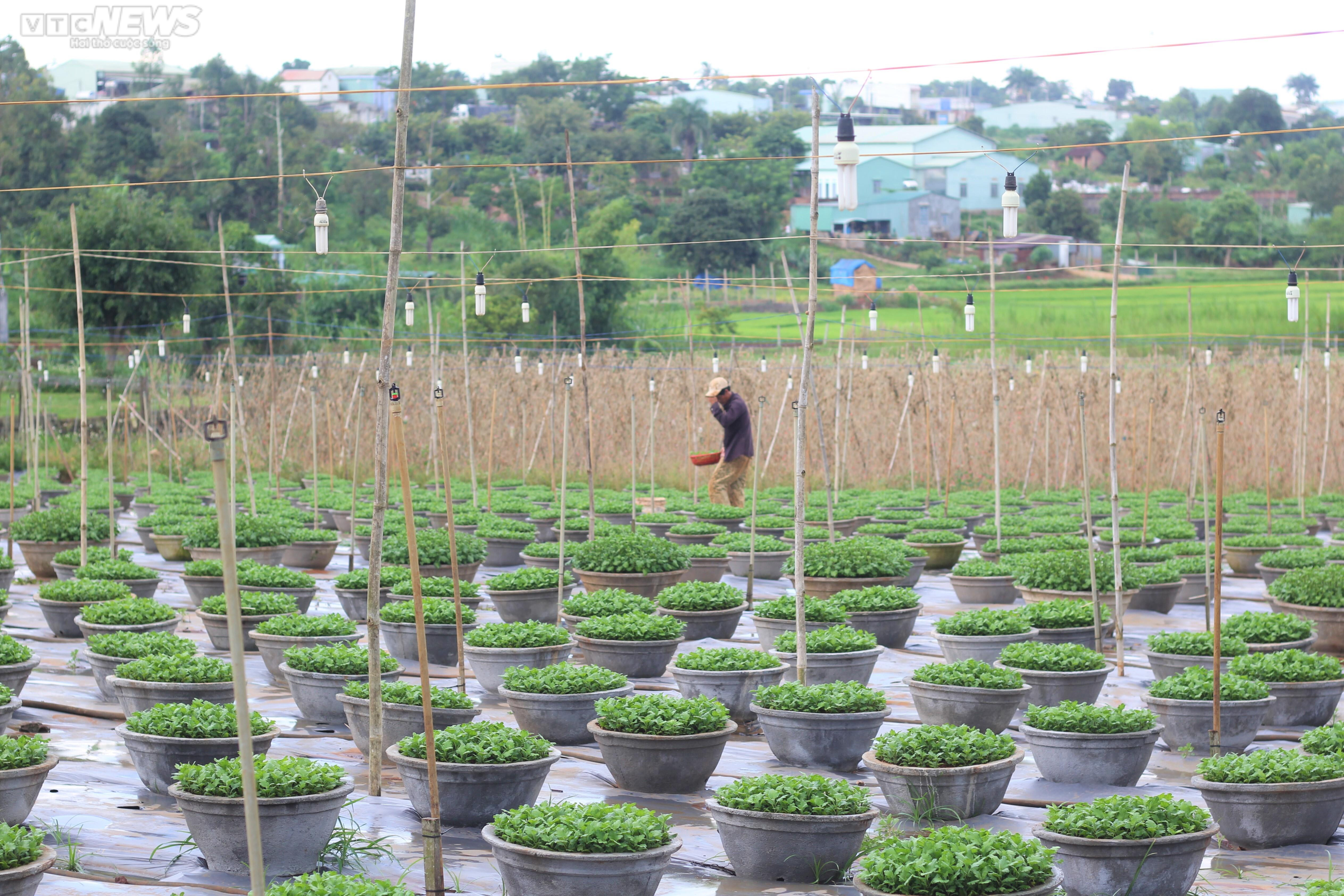 Bước qua lầm lỗi nhờ những giọt nước mắt của mẹ - 5