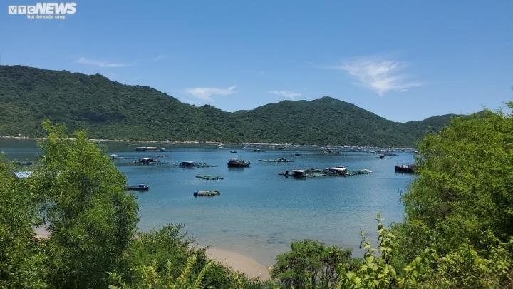Phú Yên: Vũng Rô thành vũng... rác - 1