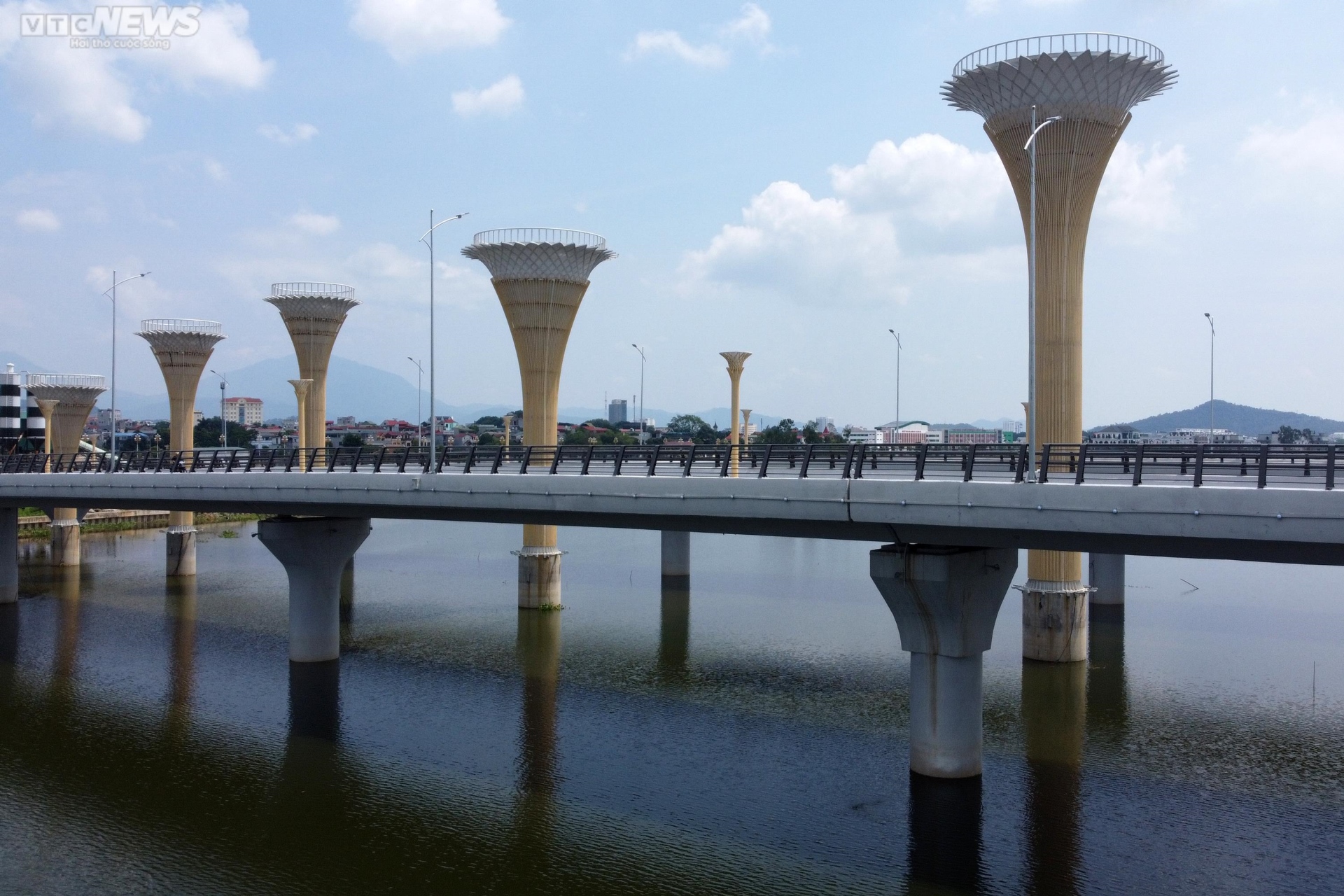 Ảnh: Độc đáo cây cầu kép hơn 600 tỷ đồng vượt đầm ở Vĩnh Phúc - 7