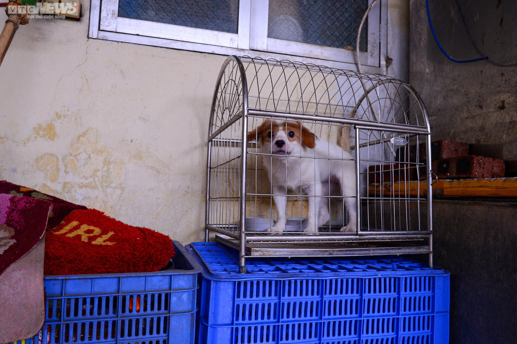 Ảnh: Xã ngoại thành ở Hà Nội cứ mưa là ngập, dân chèo thuyền trên đường làng - 7