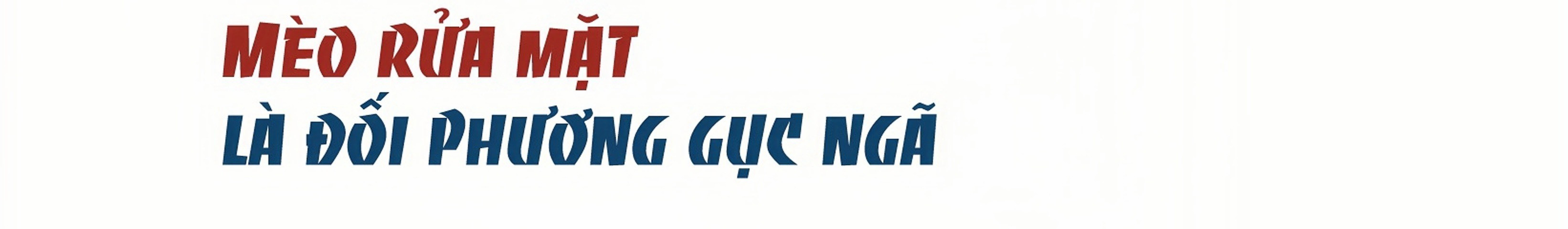 Thành danh Võ sư mèo bởi độc chiêu Miêu tẩy diện - 3