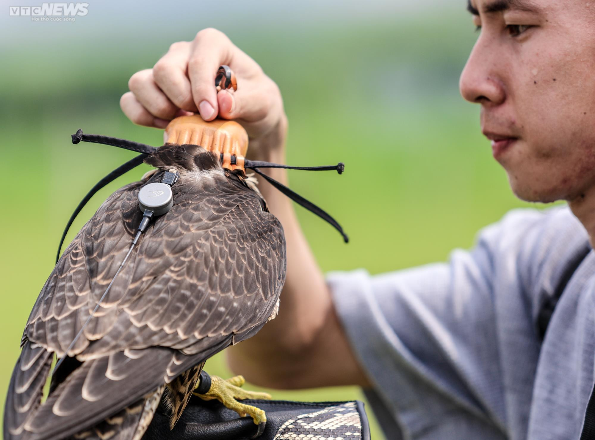 Xem giới trẻ Hà thành huấn luyện 'trinh sát bầu trời' - 5