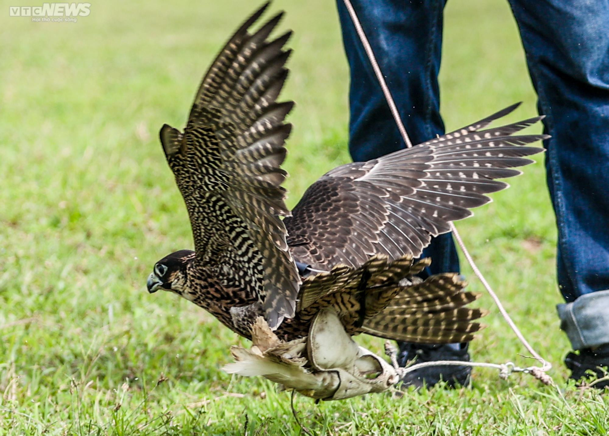 Xem giới trẻ Hà thành huấn luyện 'trinh sát bầu trời' - 10