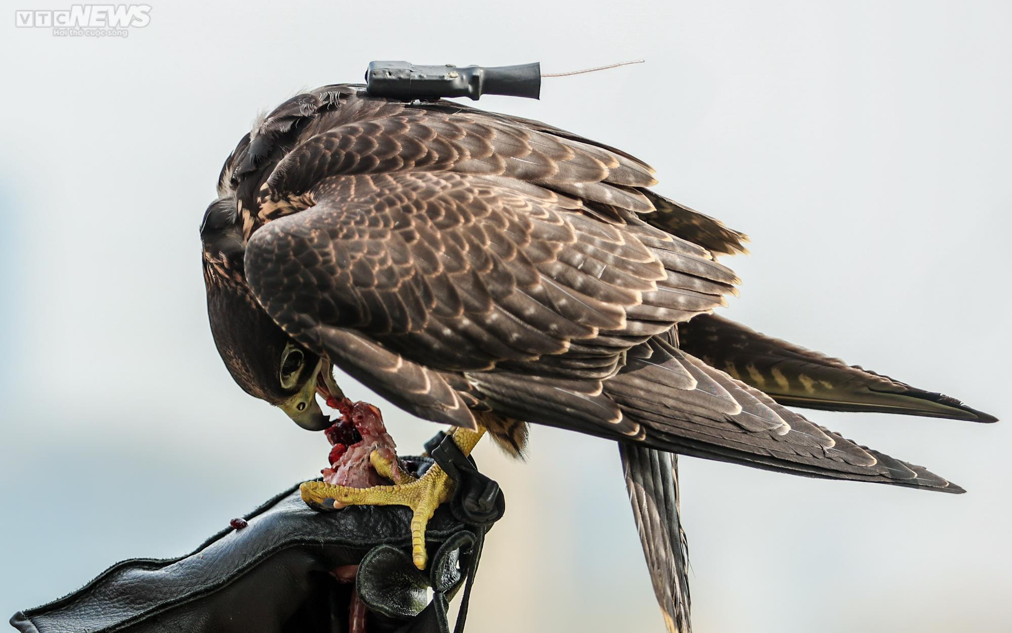 Xem giới trẻ Hà thành huấn luyện 'trinh sát bầu trời' - 13