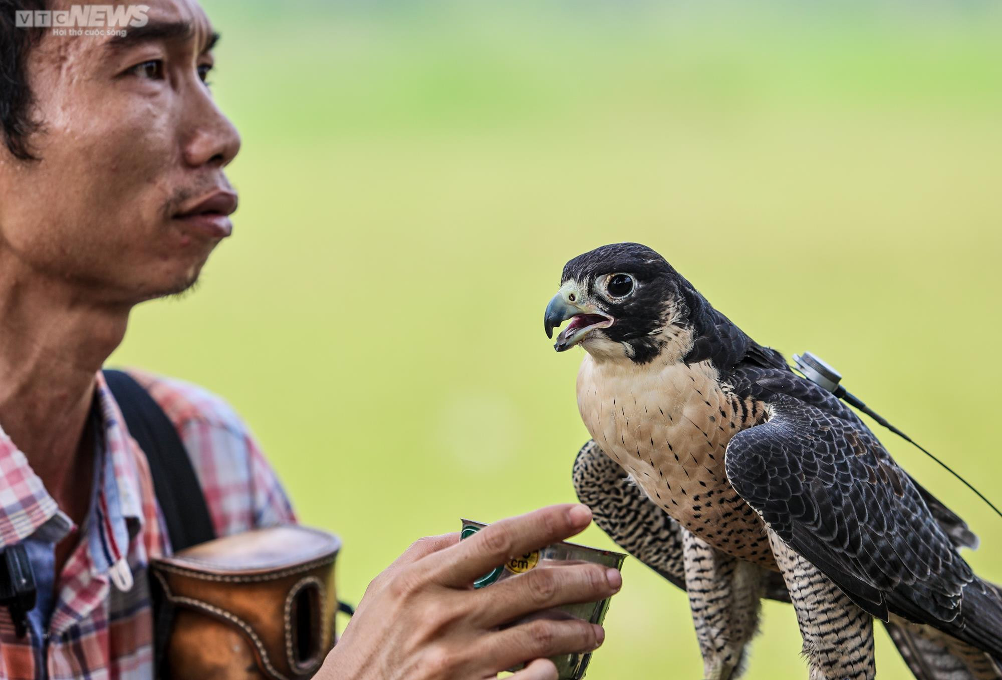 Xem giới trẻ Hà thành huấn luyện 'trinh sát bầu trời' - 14