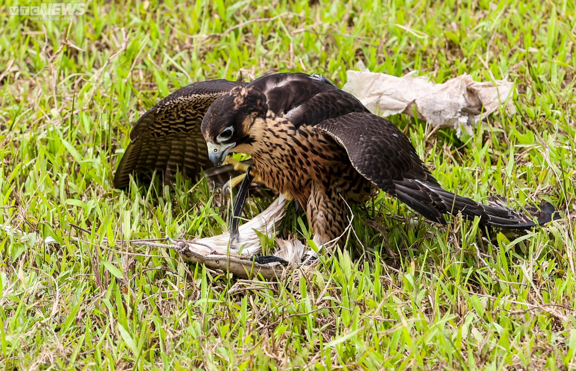 Xem giới trẻ Hà thành huấn luyện 'trinh sát bầu trời' - 9