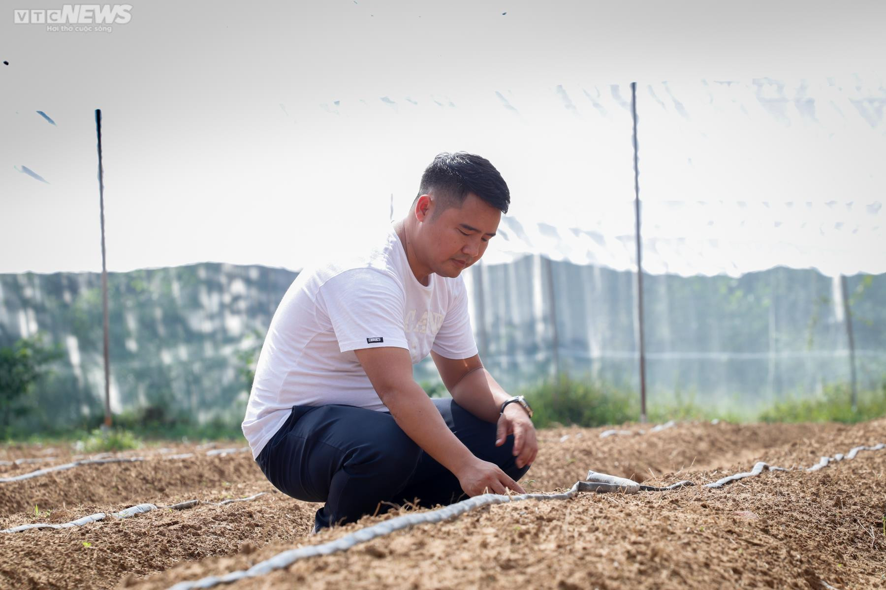 Ảnh: Mục sở thị khu vườn trồng loại ớt đắt nhất thế giới ở Hà Tĩnh - 9