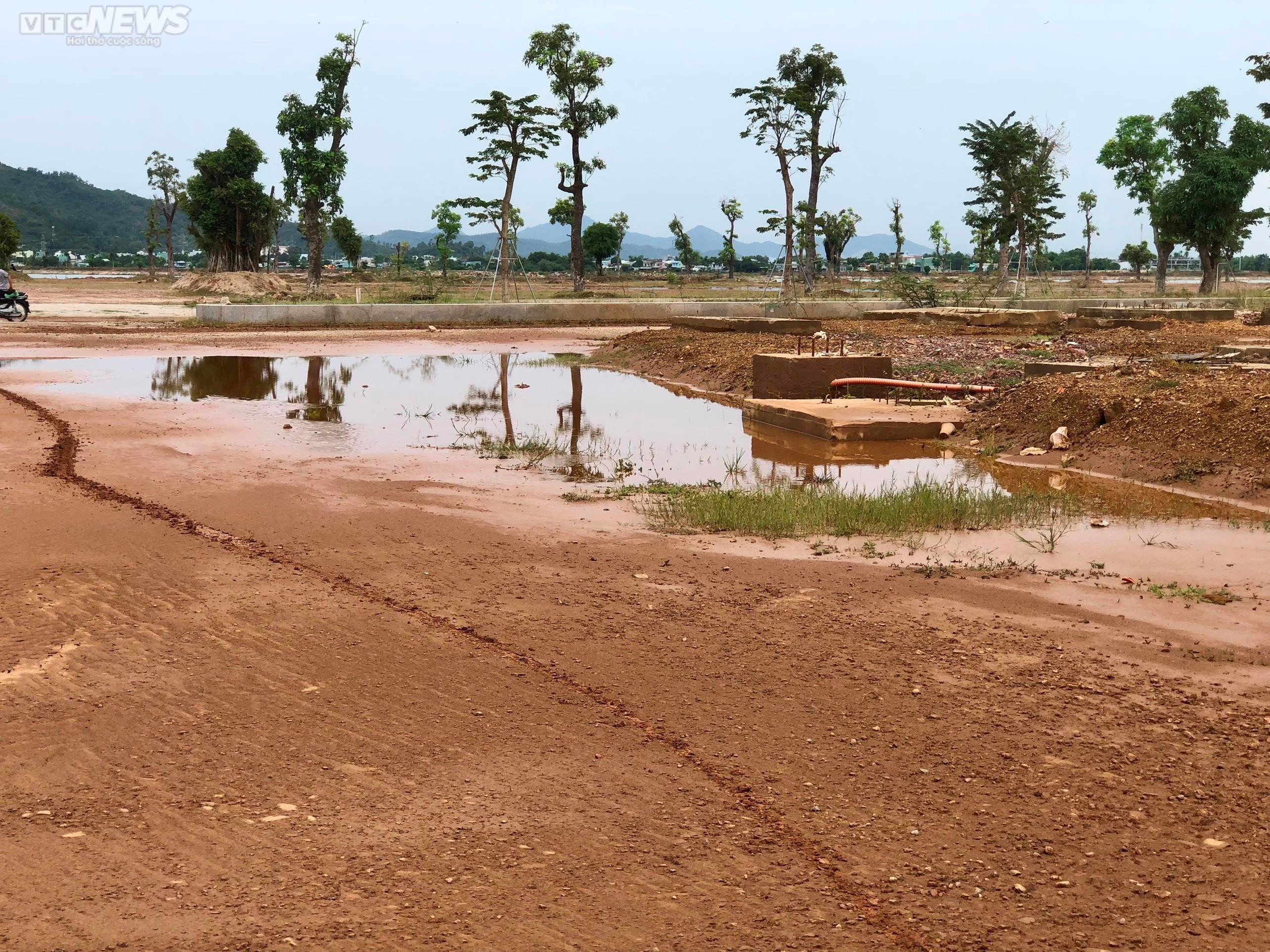 Bình Định: Dự án trên 'đất vàng' sau 8 năm khởi công vẫn ngổn ngang, hoang hóa - 4