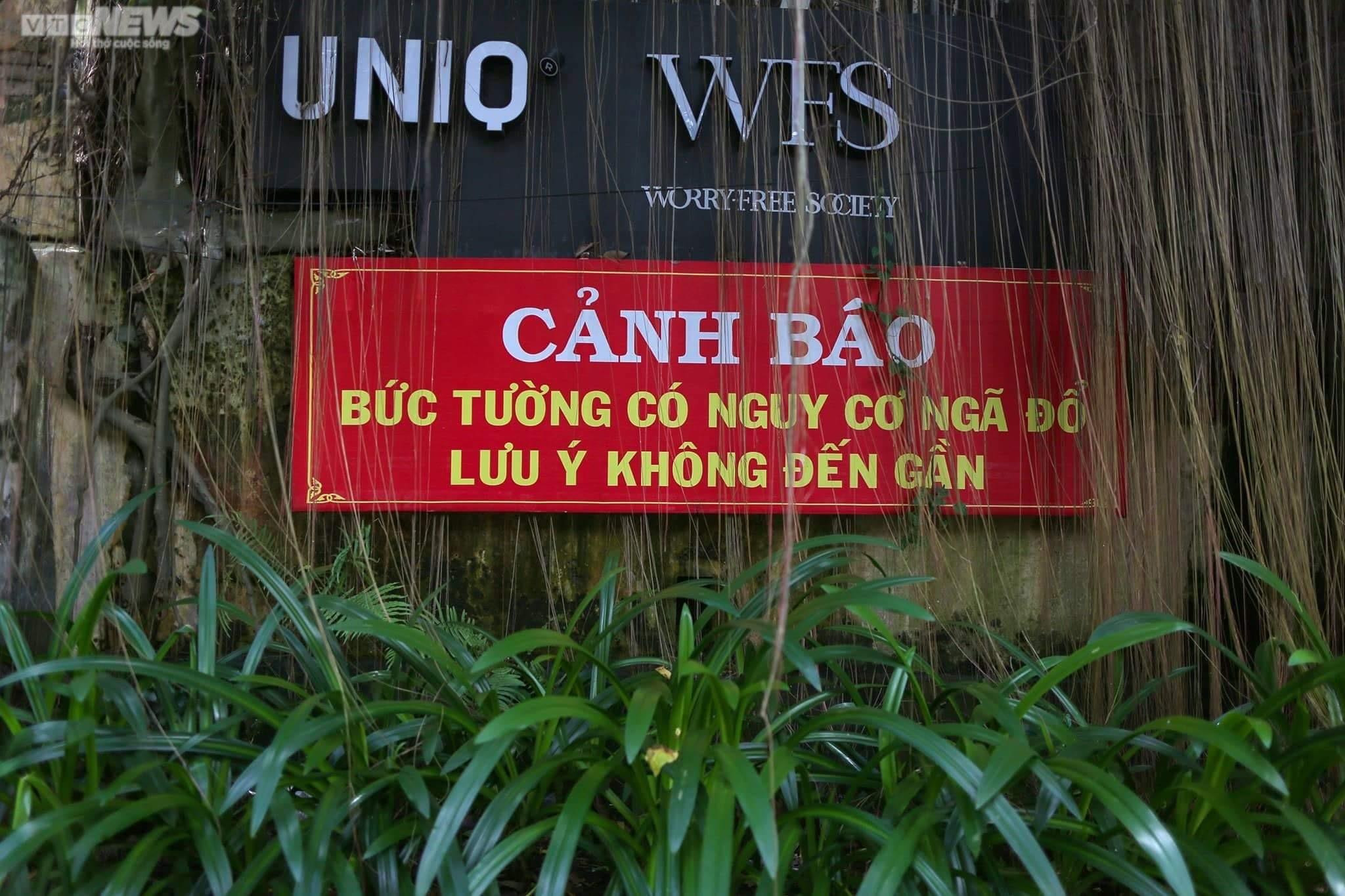 Đất 'vàng' ở TP.HCM bị Vinafood 2 thâu tóm: Một cá nhân bỏ túi hơn 1.000 tỷ đồng - 6