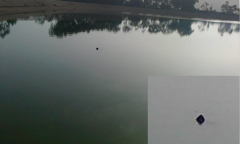 Theo dấu 'thuồng luồng': Đi tìm loài giải quý hiếm - 3