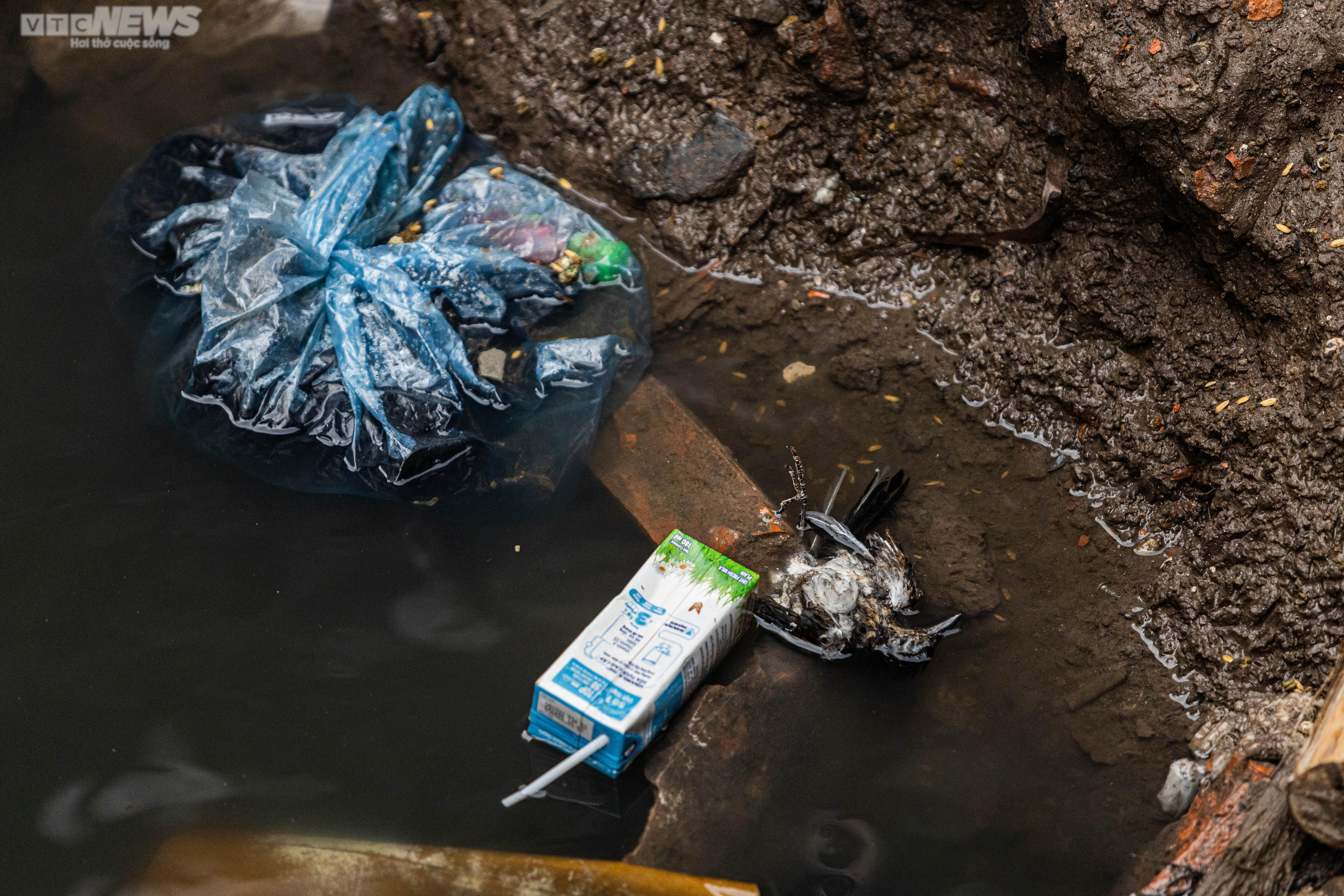 Ảnh: Người dân khốn khổ, hơn chục năm sống cạnh con mương ô nhiễm ở Hà Nội - 7