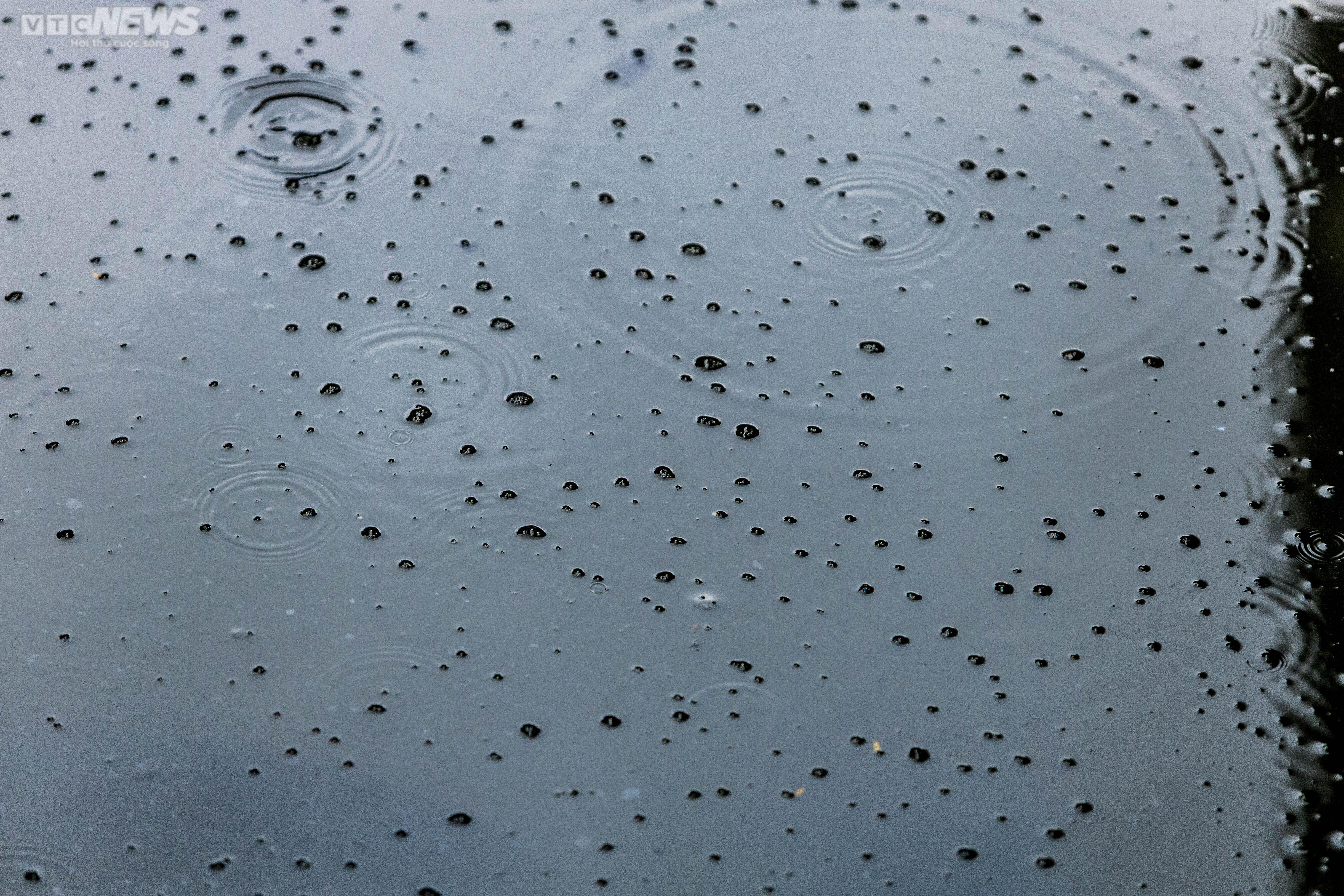 Ảnh: Người dân khốn khổ, hơn chục năm sống cạnh con mương ô nhiễm ở Hà Nội - 10