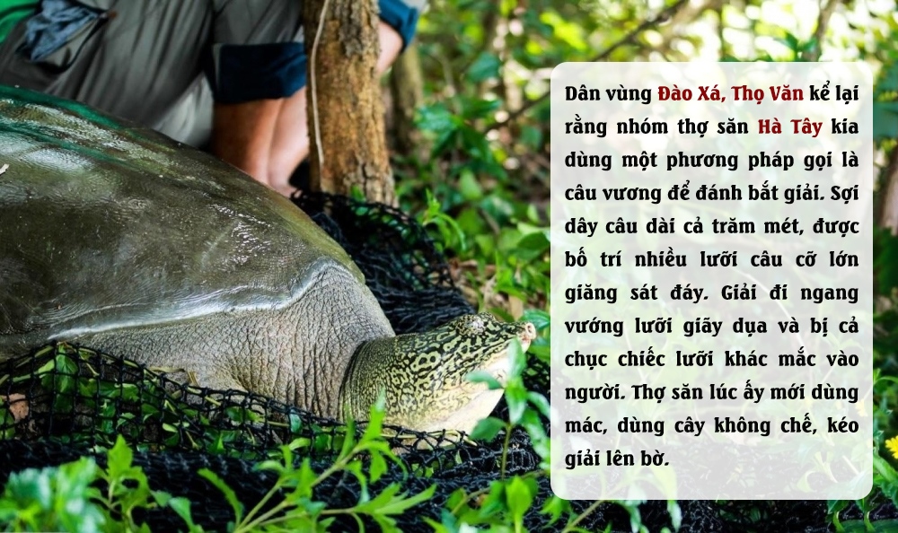 Theo dấu 'thuồng luồng': Đi tìm loài giải quý hiếm - 5