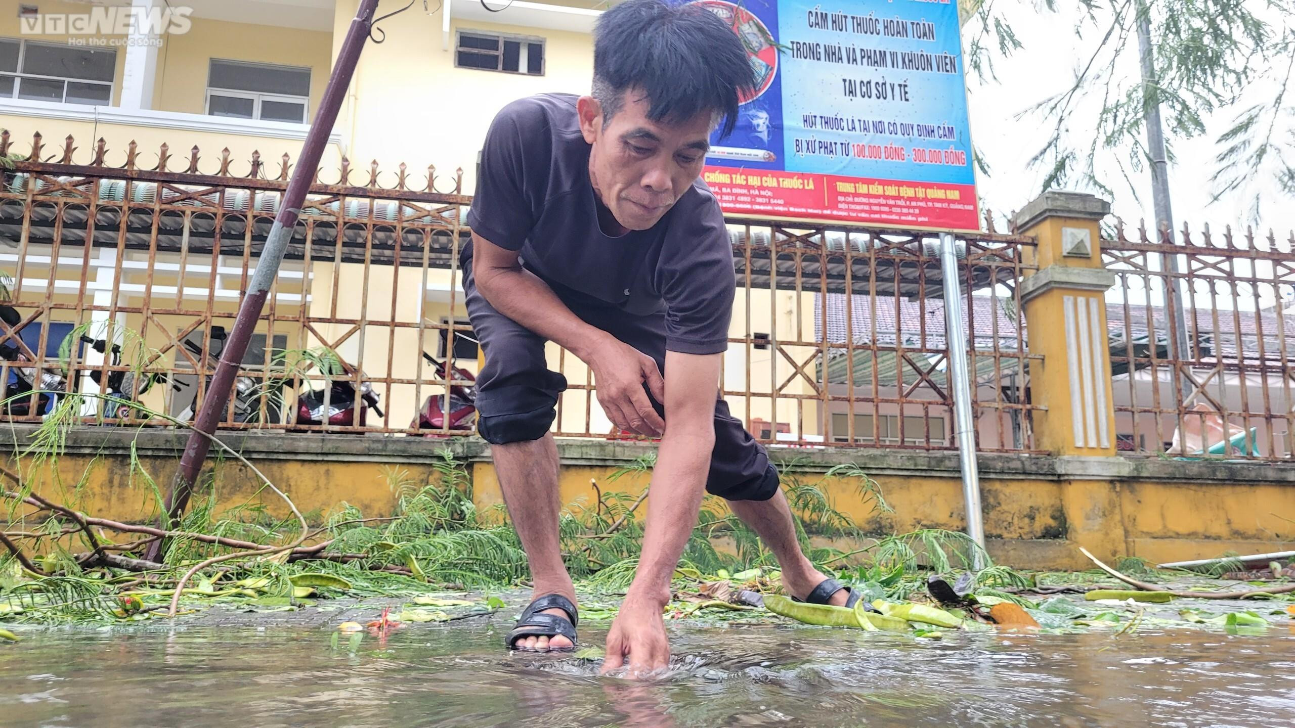 Ảnh: Cây xanh bật gốc hàng loạt, phố cổ Hội An ngổn ngang sau bão - 9