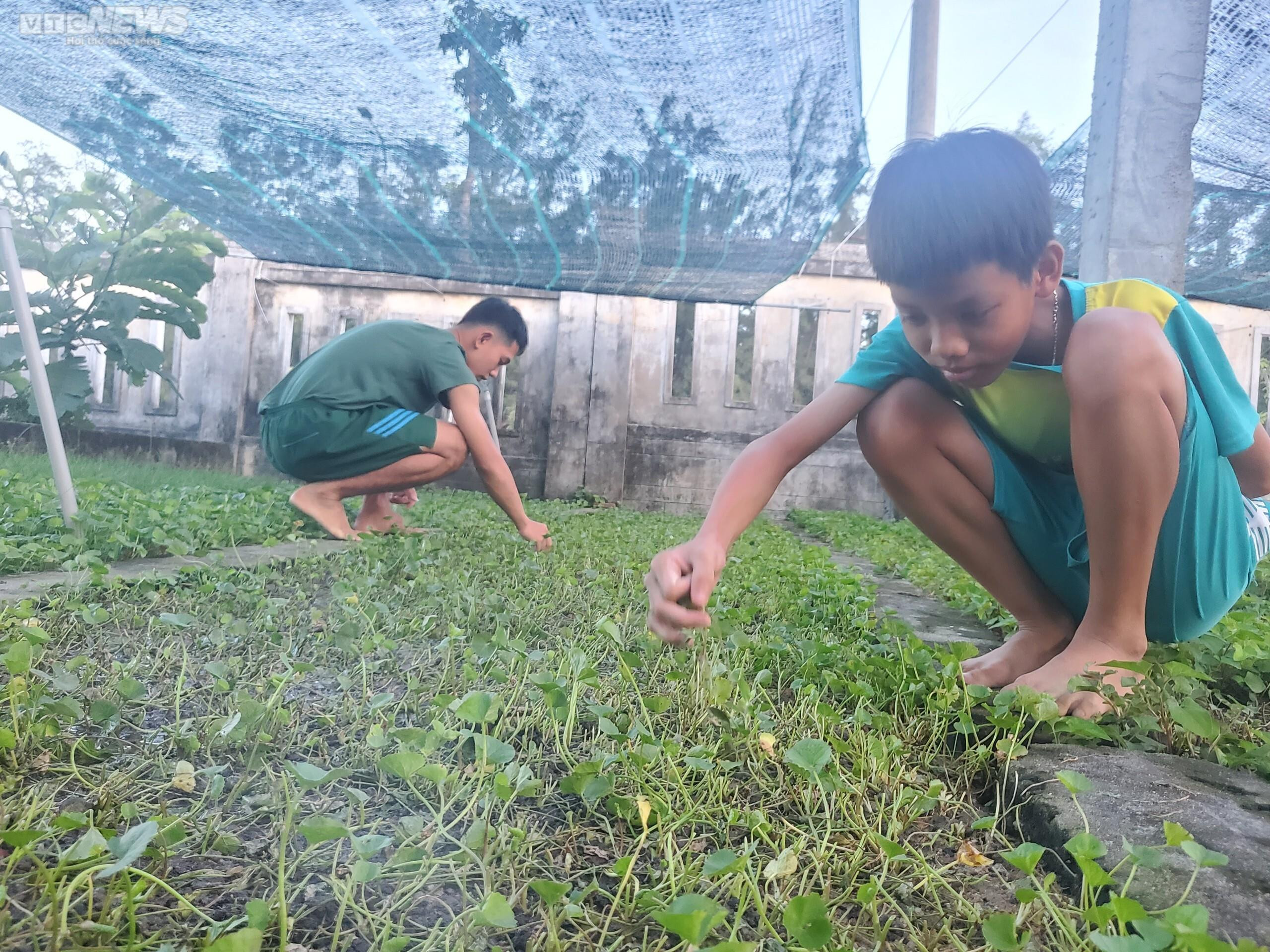 'Chú bộ đội con' của Đồn Biên phòng Tuy Hòa - 2