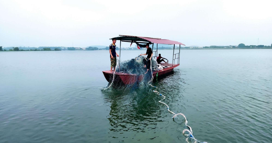 Theo dấu 'thuồng luồng': Ở hồ Đồng Mô, có bao nhiêu cá thể rùa Hoàn Kiếm? - 2