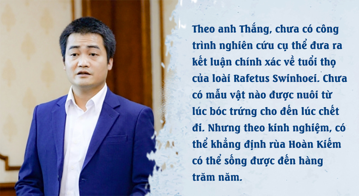 Theo dấu 'thuồng luồng': Ở hồ Đồng Mô, có bao nhiêu cá thể rùa Hoàn Kiếm? - 3