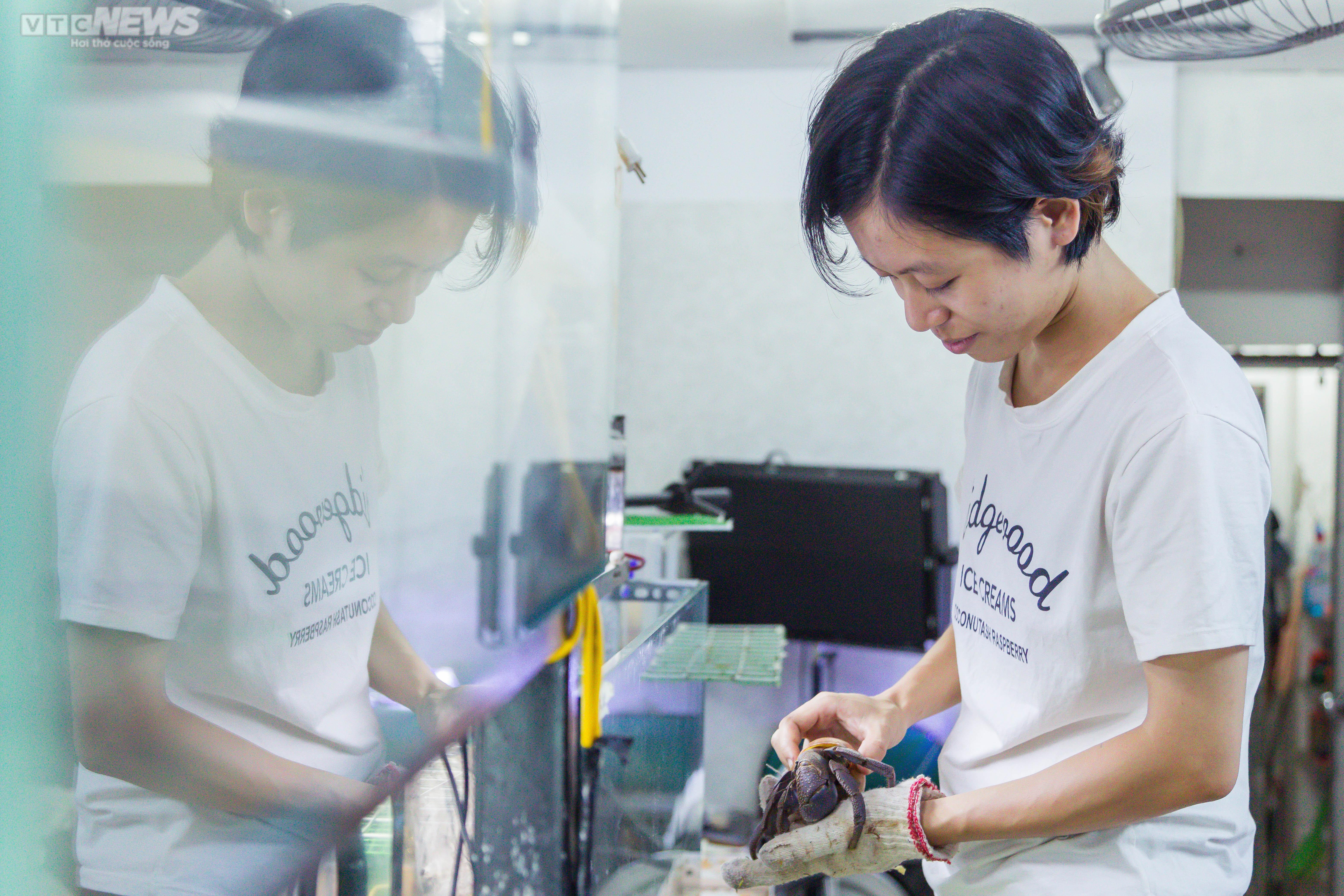 Bộ sưu tập ốc mượn hồn sặc sỡ sắc màu của cô gái 9X Hà Nội - 2