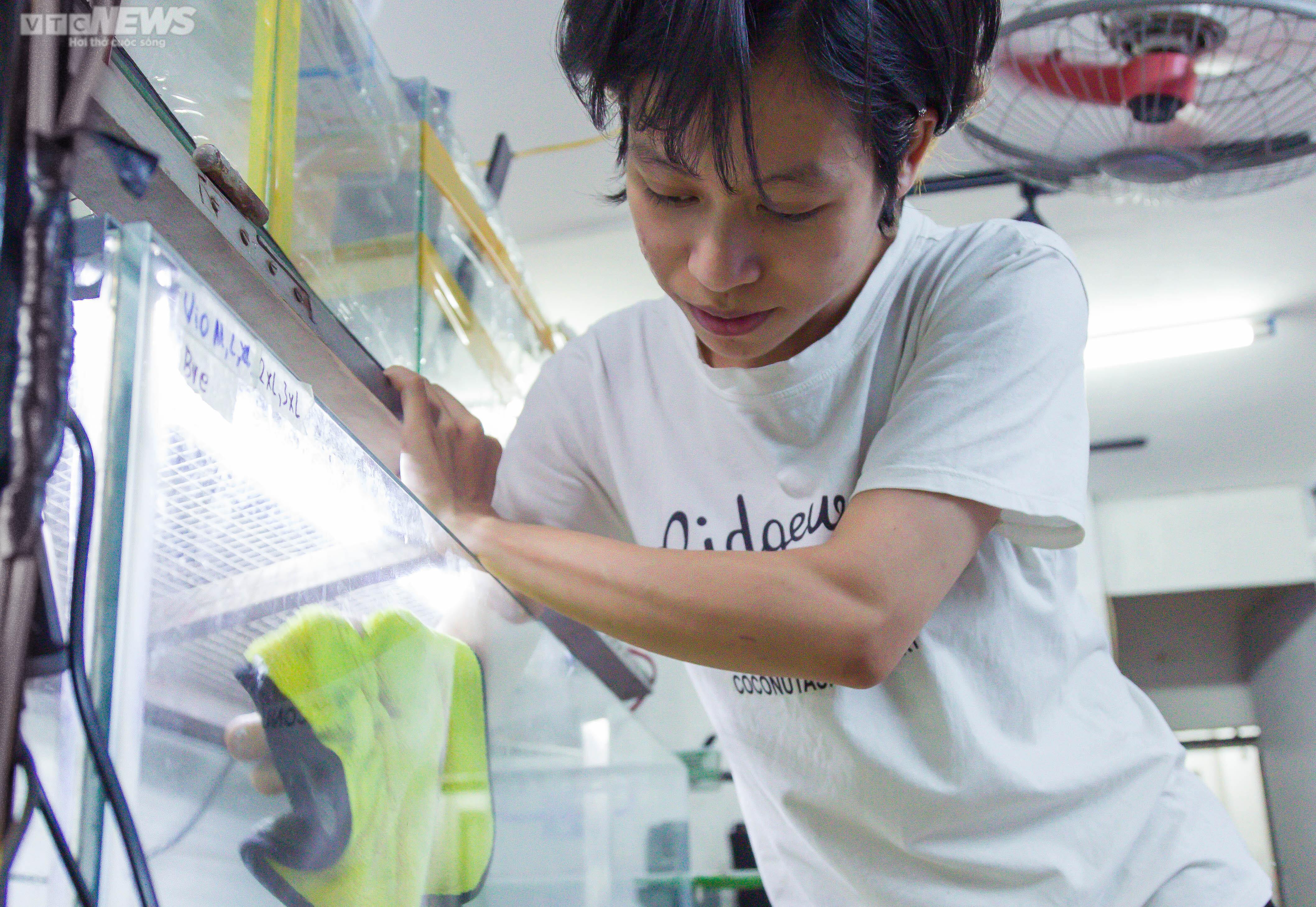 Bộ sưu tập ốc mượn hồn sặc sỡ sắc màu của cô gái 9X Hà Nội - 8