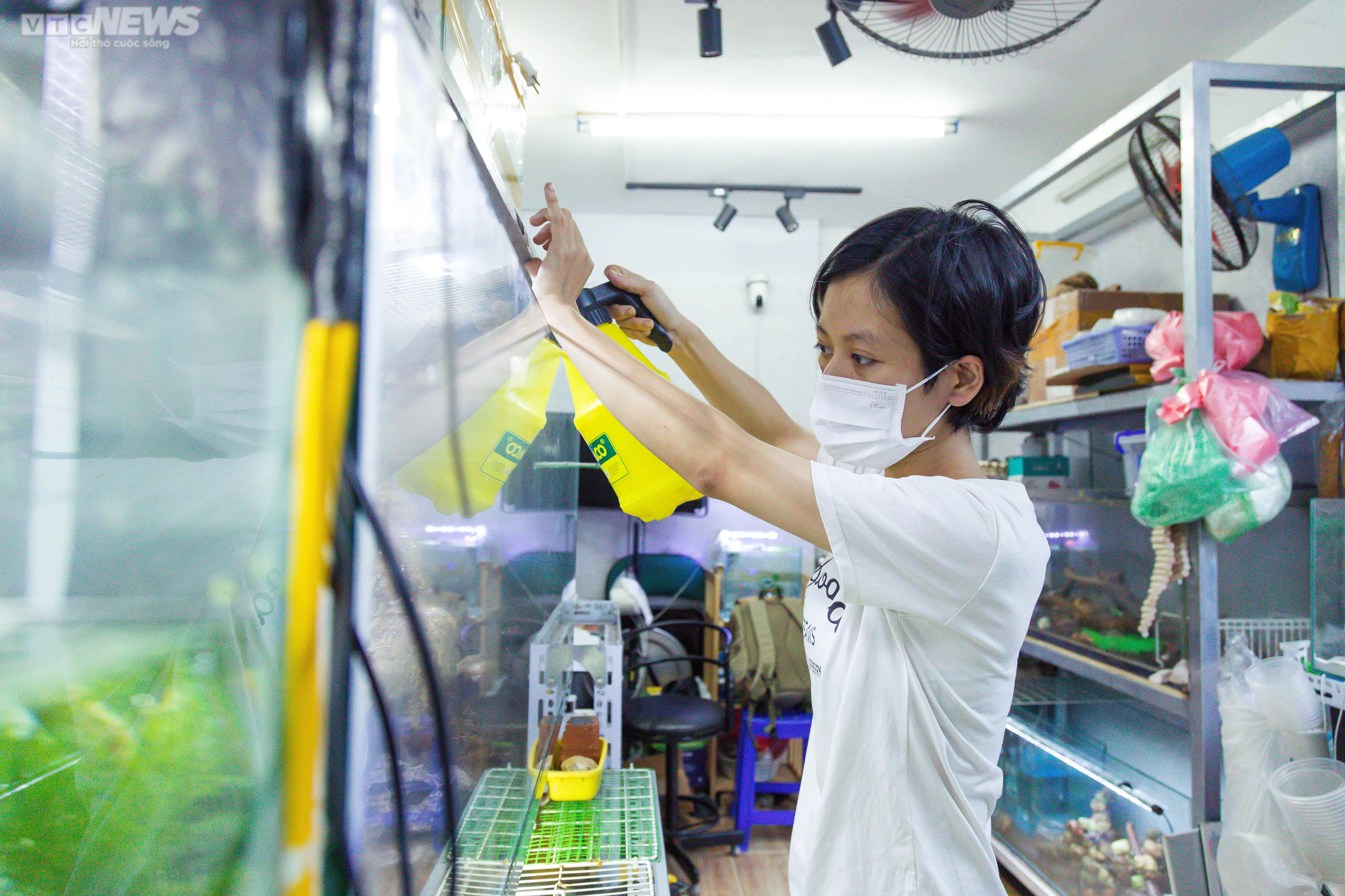 Bộ sưu tập ốc mượn hồn sặc sỡ sắc màu của cô gái 9X Hà Nội - 7